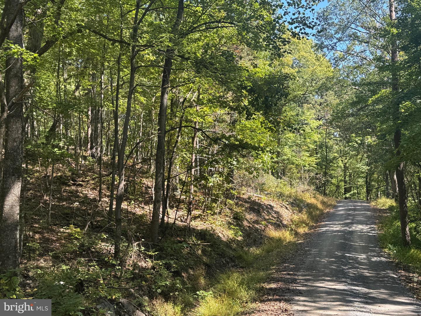 0 FOREST DRIVE EXT, LURAY, Virginia 22835, ,Land,For sale,0 FOREST DRIVE EXT,VAPA2005454 MLS # VAPA2005454 0 FOREST DRIVE EXT, LURAY, Virginia 22835, ,Land,For sale,0 FOREST DRIVE EXT,VAPA2005454 MLS # VAPA2005454