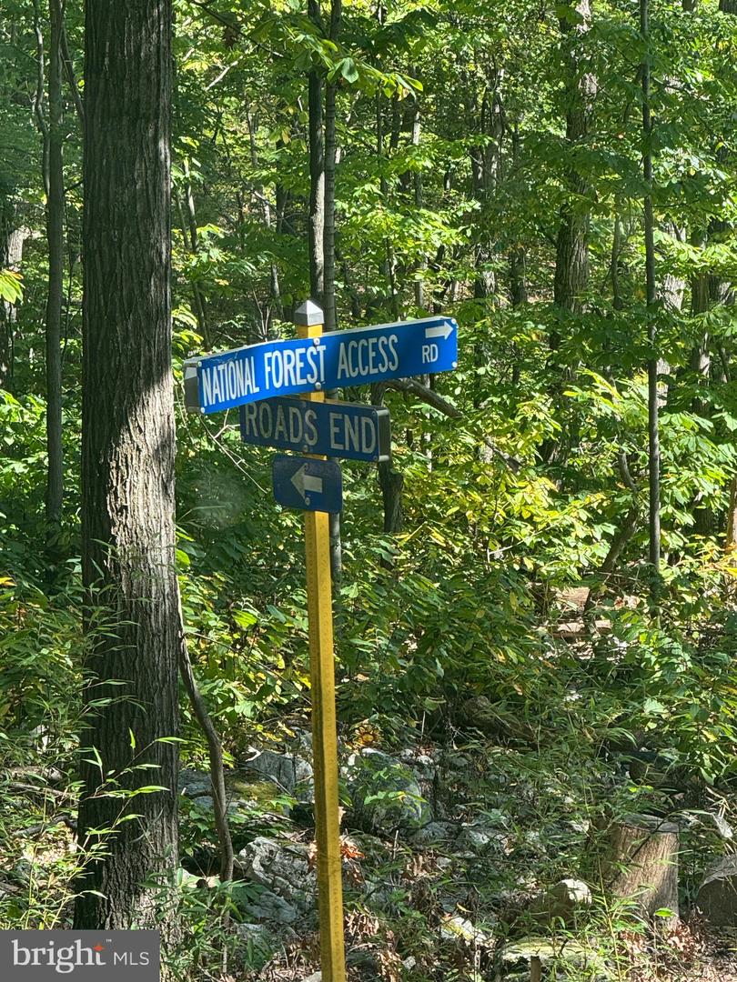 0 FOREST DRIVE EXT, LURAY, Virginia 22835, ,Land,For sale,0 FOREST DRIVE EXT,VAPA2005454 MLS # VAPA2005454 0 FOREST DRIVE EXT, LURAY, Virginia 22835, ,Land,For sale,0 FOREST DRIVE EXT,VAPA2005454 MLS # VAPA2005454