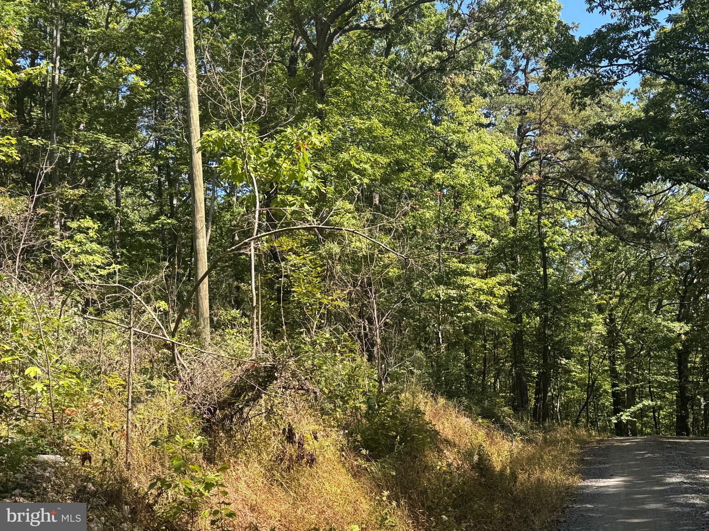 0 FOREST DRIVE EXT, LURAY, Virginia 22835, ,Land,For sale,0 FOREST DRIVE EXT,VAPA2005454 MLS # VAPA2005454 0 FOREST DRIVE EXT, LURAY, Virginia 22835, ,Land,For sale,0 FOREST DRIVE EXT,VAPA2005454 MLS # VAPA2005454