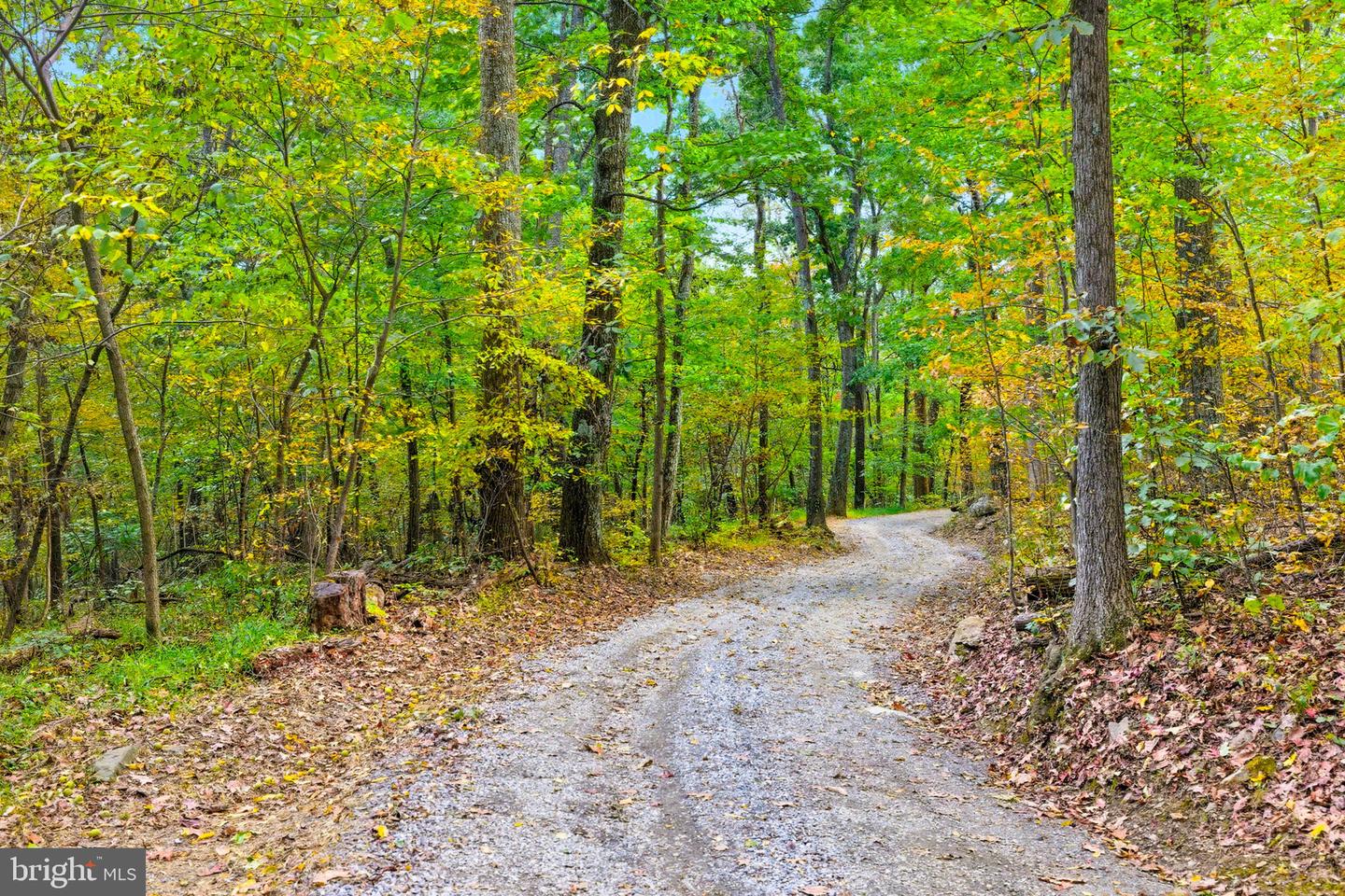 APPALACIAN TRAIL RD, ROUND HILL, Virginia 20141, ,Land,For sale,APPALACIAN TRAIL RD,VALO2108460 MLS # VALO2108460 APPALACIAN TRAIL RD, ROUND HILL, Virginia 20141, ,Land,For sale,APPALACIAN TRAIL RD,VALO2108460 MLS # VALO2108460