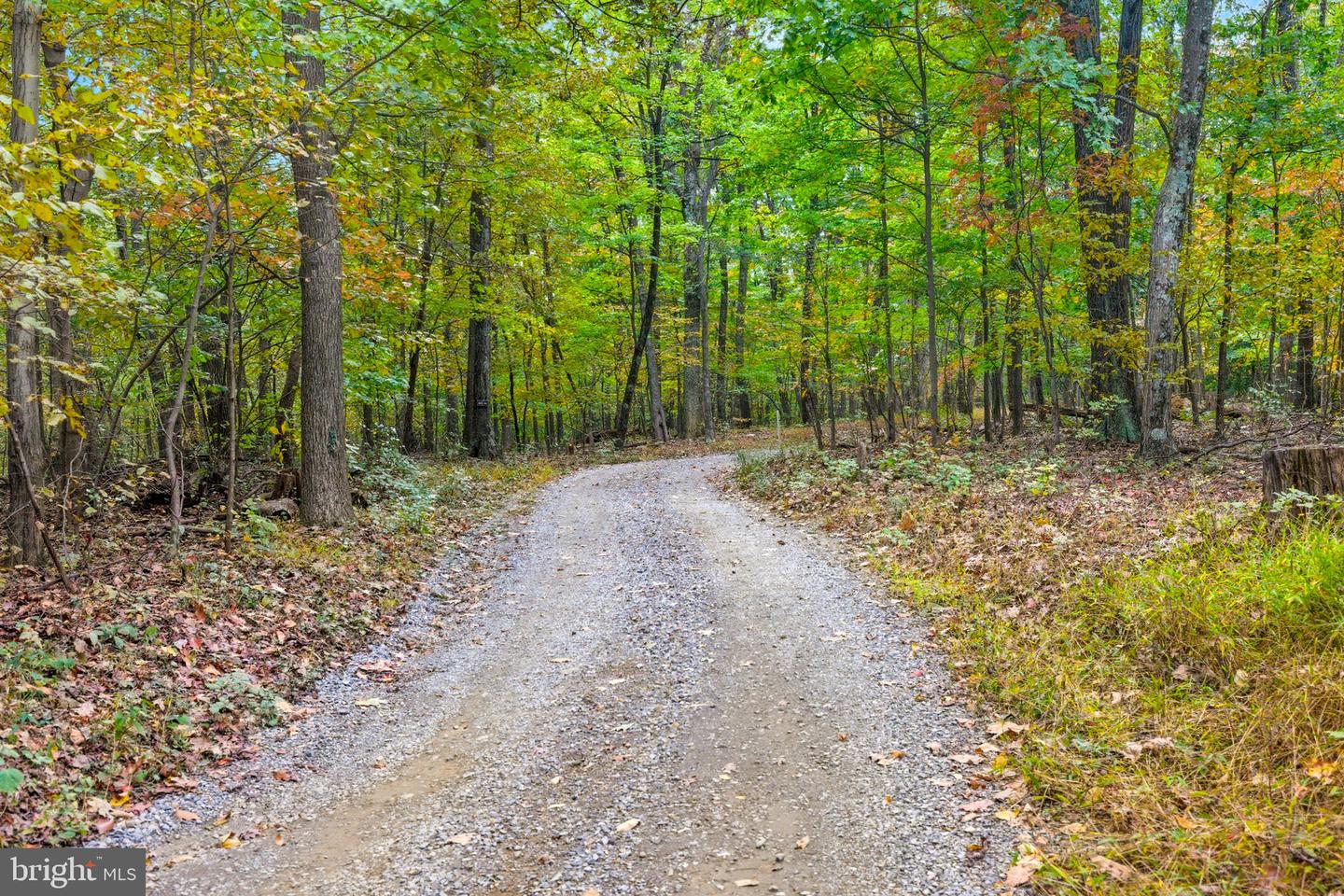 APPALACIAN TRAIL RD, ROUND HILL, Virginia 20141, ,Land,For sale,APPALACIAN TRAIL RD,VALO2108460 MLS # VALO2108460 APPALACIAN TRAIL RD, ROUND HILL, Virginia 20141, ,Land,For sale,APPALACIAN TRAIL RD,VALO2108460 MLS # VALO2108460