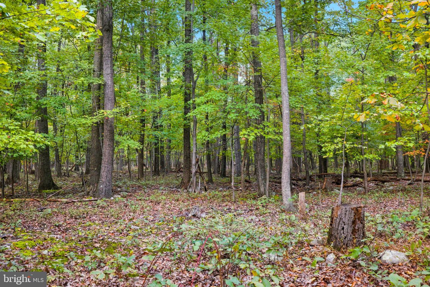 APPALACIAN TRAIL RD, ROUND HILL, Virginia 20141, ,Land,For sale,APPALACIAN TRAIL RD,VALO2108460 MLS # VALO2108460 APPALACIAN TRAIL RD, ROUND HILL, Virginia 20141, ,Land,For sale,APPALACIAN TRAIL RD,VALO2108460 MLS # VALO2108460