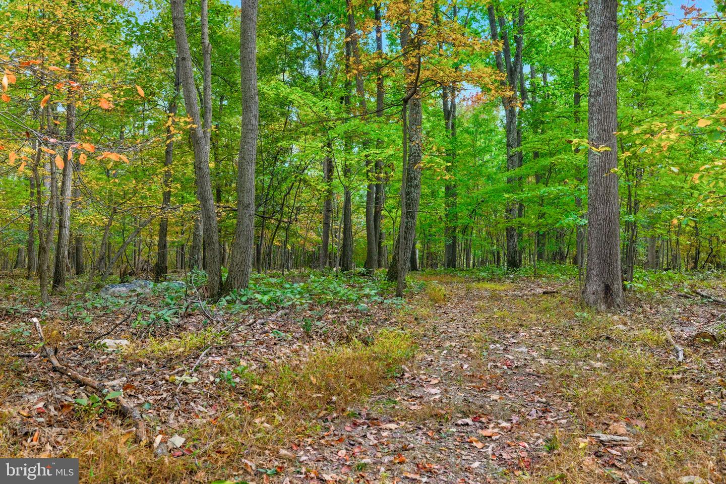 APPALACIAN TRAIL RD, ROUND HILL, Virginia 20141, ,Land,For sale,APPALACIAN TRAIL RD,VALO2108460 MLS # VALO2108460 APPALACIAN TRAIL RD, ROUND HILL, Virginia 20141, ,Land,For sale,APPALACIAN TRAIL RD,VALO2108460 MLS # VALO2108460