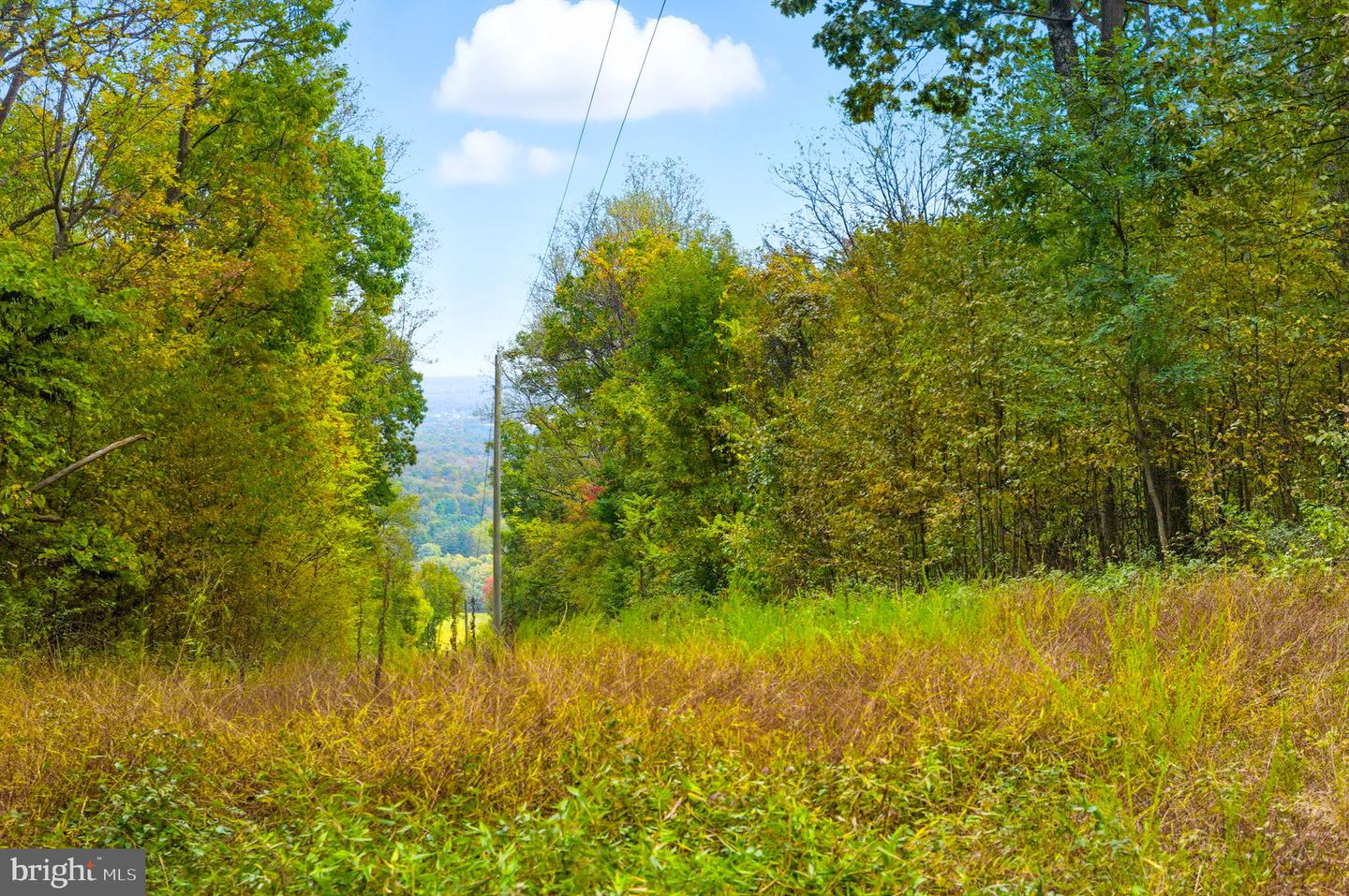 APPALACIAN TRAIL RD, ROUND HILL, Virginia 20141, ,Land,For sale,APPALACIAN TRAIL RD,VALO2108460 MLS # VALO2108460 APPALACIAN TRAIL RD, ROUND HILL, Virginia 20141, ,Land,For sale,APPALACIAN TRAIL RD,VALO2108460 MLS # VALO2108460