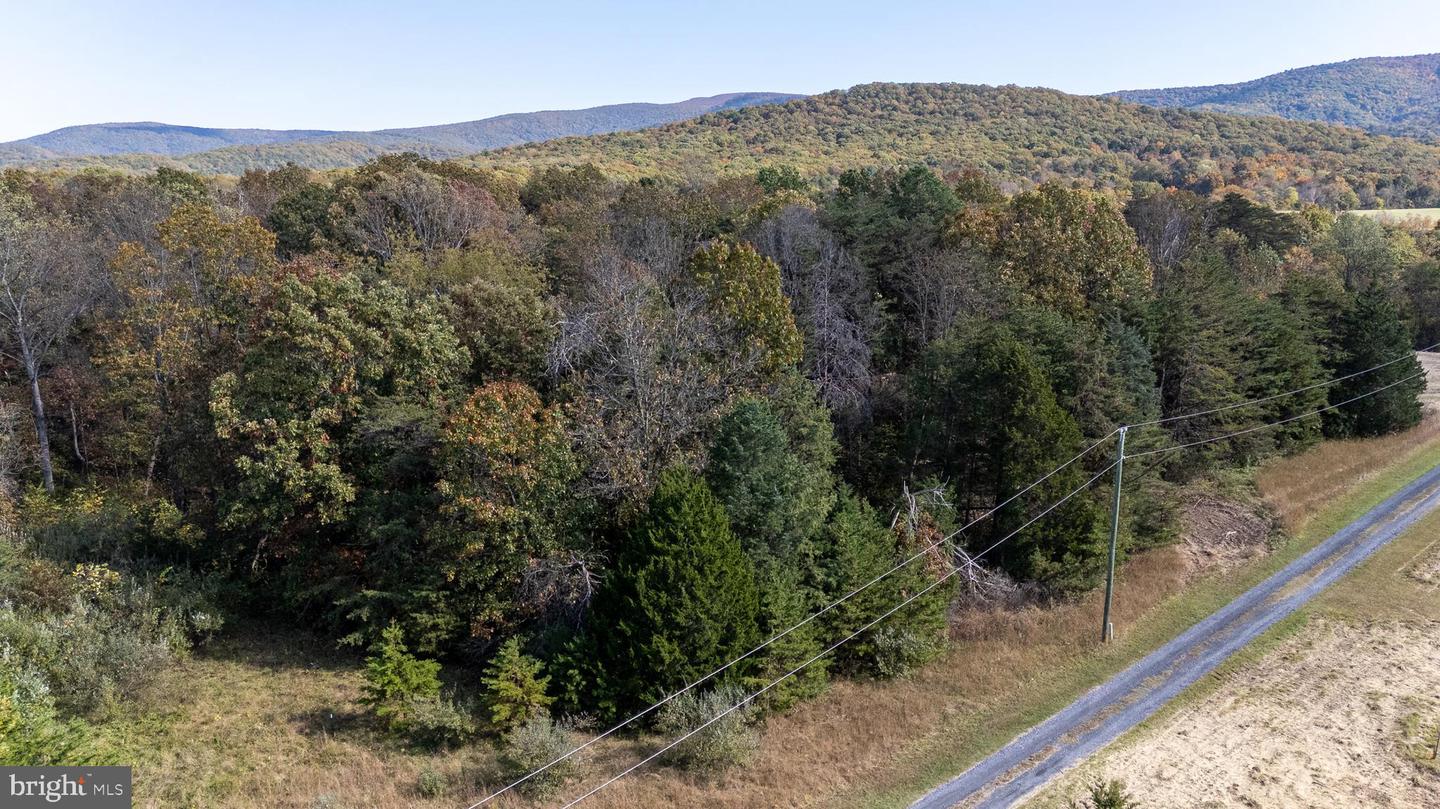 LOT 1 YOUNG RD, RILEYVILLE, Virginia 22650, ,Land,For sale,LOT 1 YOUNG RD,VAPA2005482 MLS # VAPA2005482 LOT 1 YOUNG RD, RILEYVILLE, Virginia 22650, ,Land,For sale,LOT 1 YOUNG RD,VAPA2005482 MLS # VAPA2005482