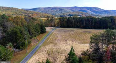 LOT 1 YOUNG RD, RILEYVILLE, Virginia 22650, ,Land,For sale,LOT 1 YOUNG RD,VAPA2005482 MLS # VAPA2005482
