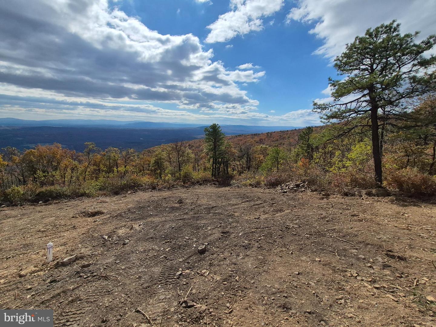 1217 ROCKWOOD, WINCHESTER, Virginia 22602, ,Land,For sale,1217 ROCKWOOD,VAFV2037660 MLS # VAFV2037660 1217 ROCKWOOD, WINCHESTER, Virginia 22602, ,Land,For sale,1217 ROCKWOOD,VAFV2037660 MLS # VAFV2037660
