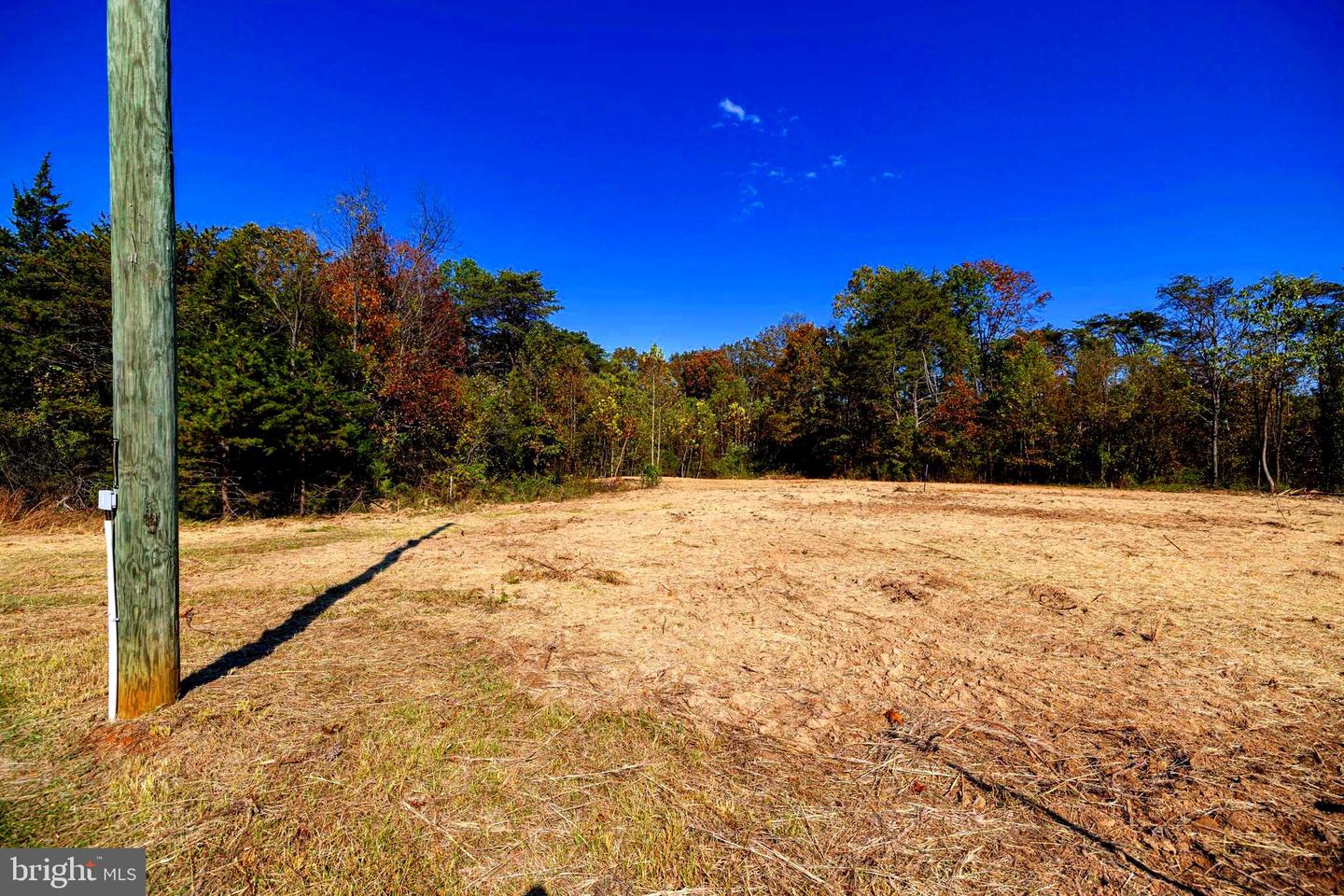LOT 2 YOUNG RD, RILEYVILLE, Virginia 22650, ,Land,For sale,LOT 2 YOUNG RD,VAPA2005546 MLS # VAPA2005546 LOT 2 YOUNG RD, RILEYVILLE, Virginia 22650, ,Land,For sale,LOT 2 YOUNG RD,VAPA2005546 MLS # VAPA2005546