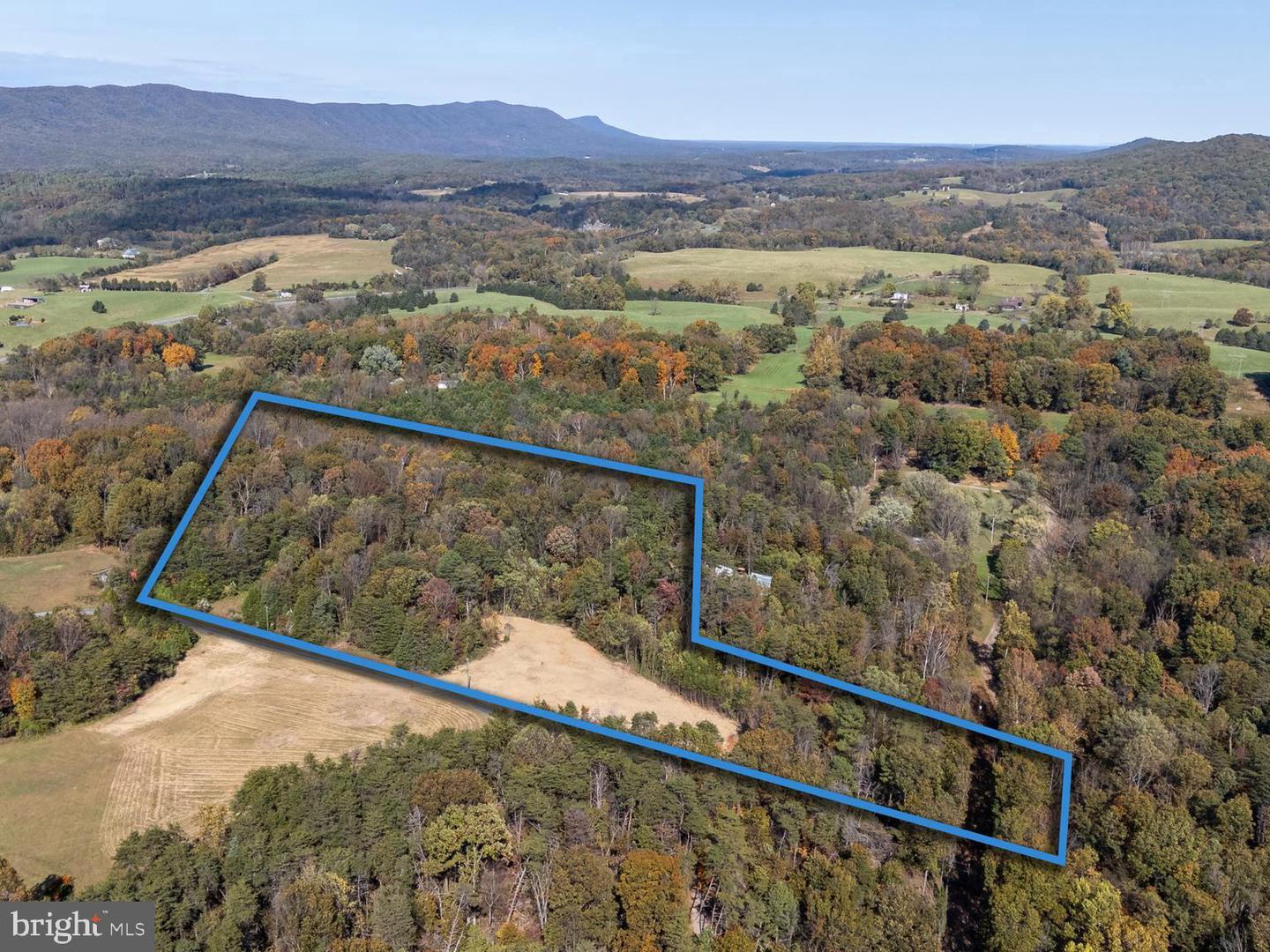 LOT 2 YOUNG RD, RILEYVILLE, Virginia 22650, ,Land,For sale,LOT 2 YOUNG RD,VAPA2005546 MLS # VAPA2005546 LOT 2 YOUNG RD, RILEYVILLE, Virginia 22650, ,Land,For sale,LOT 2 YOUNG RD,VAPA2005546 MLS # VAPA2005546