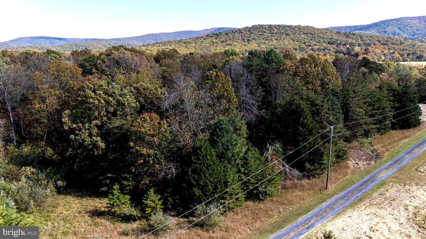 LOT 2 YOUNG RD, RILEYVILLE, Virginia 22650, ,Land,For sale,LOT 2 YOUNG RD,VAPA2005546 MLS # VAPA2005546 LOT 2 YOUNG RD, RILEYVILLE, Virginia 22650, ,Land,For sale,LOT 2 YOUNG RD,VAPA2005546 MLS # VAPA2005546