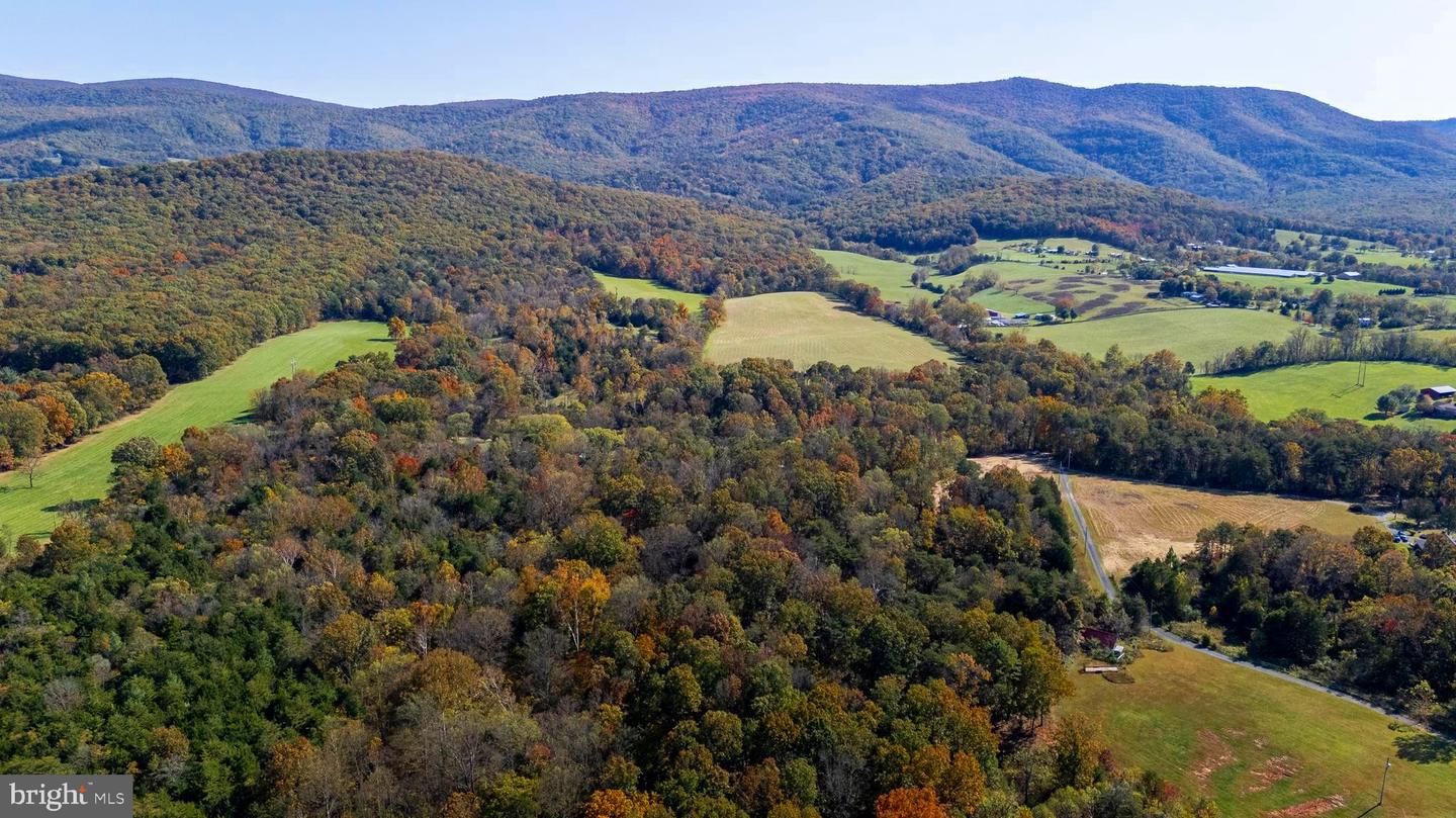 LOT 2 YOUNG RD, RILEYVILLE, Virginia 22650, ,Land,For sale,LOT 2 YOUNG RD,VAPA2005546 MLS # VAPA2005546 LOT 2 YOUNG RD, RILEYVILLE, Virginia 22650, ,Land,For sale,LOT 2 YOUNG RD,VAPA2005546 MLS # VAPA2005546
