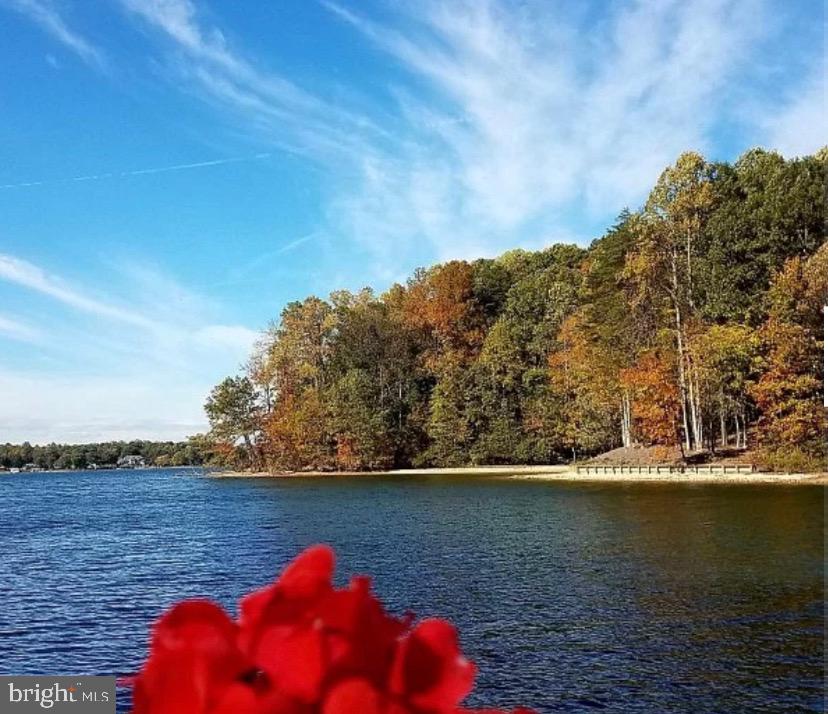 12822 STAGE COACH RD, BUMPASS, Virginia 23024, 7 Bedrooms Bedrooms, ,5 BathroomsBathrooms,Residential,For sale,12822 STAGE COACH RD,VASP2035680 MLS # VASP2035680 12822 STAGE COACH RD, BUMPASS, Virginia 23024, 7 Bedrooms Bedrooms, ,5 BathroomsBathrooms,Residential,For sale,12822 STAGE COACH RD,VASP2035680 MLS # VASP2035680