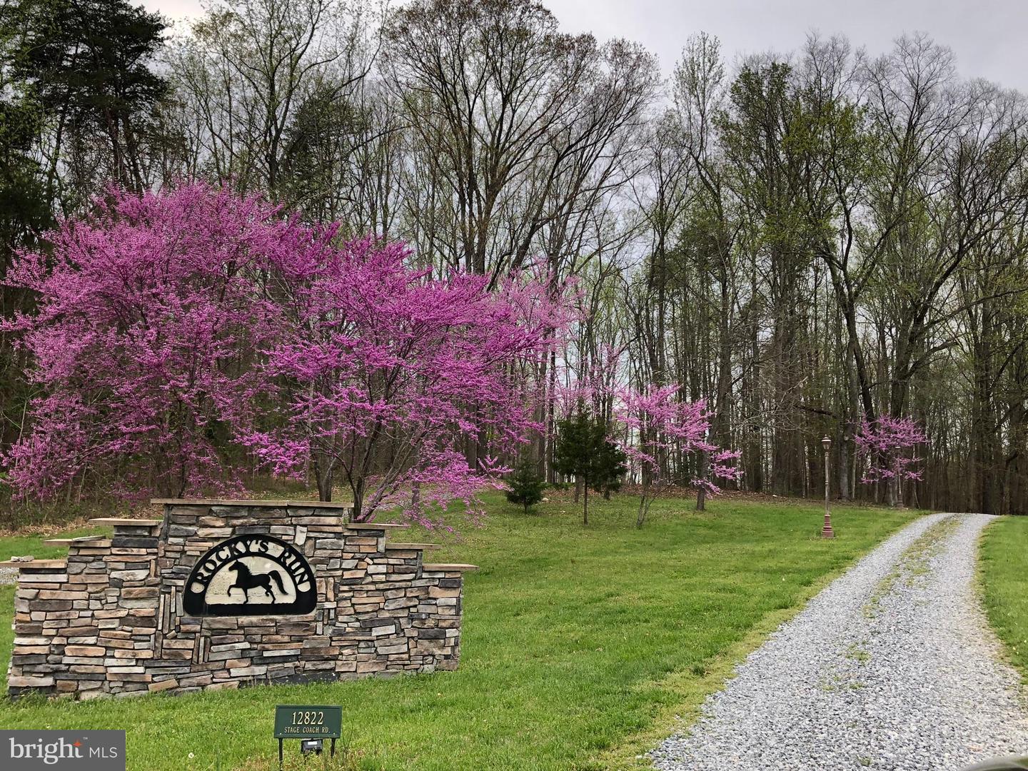 12822 STAGE COACH RD, BUMPASS, Virginia 23024, 7 Bedrooms Bedrooms, ,5 BathroomsBathrooms,Residential,For sale,12822 STAGE COACH RD,VASP2035680 MLS # VASP2035680 12822 STAGE COACH RD, BUMPASS, Virginia 23024, 7 Bedrooms Bedrooms, ,5 BathroomsBathrooms,Residential,For sale,12822 STAGE COACH RD,VASP2035680 MLS # VASP2035680