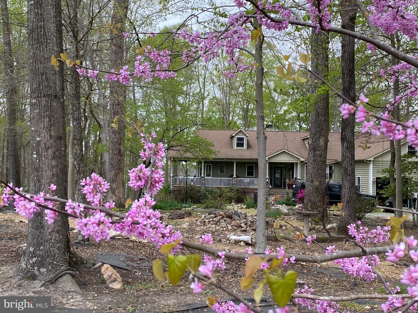 12822 STAGE COACH RD, BUMPASS, Virginia 23024, 7 Bedrooms Bedrooms, ,5 BathroomsBathrooms,Residential,For sale,12822 STAGE COACH RD,VASP2035680 MLS # VASP2035680 12822 STAGE COACH RD, BUMPASS, Virginia 23024, 7 Bedrooms Bedrooms, ,5 BathroomsBathrooms,Residential,For sale,12822 STAGE COACH RD,VASP2035680 MLS # VASP2035680