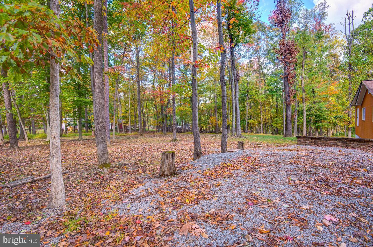 558 HEMLOCK LN, BLUEMONT, Virginia 20135, 3 Bedrooms Bedrooms, ,2 BathroomsBathrooms,Residential,For sale,558 HEMLOCK LN,VACL2005986 MLS # VACL2005986 558 HEMLOCK LN, BLUEMONT, Virginia 20135, 3 Bedrooms Bedrooms, ,2 BathroomsBathrooms,Residential,For sale,558 HEMLOCK LN,VACL2005986 MLS # VACL2005986