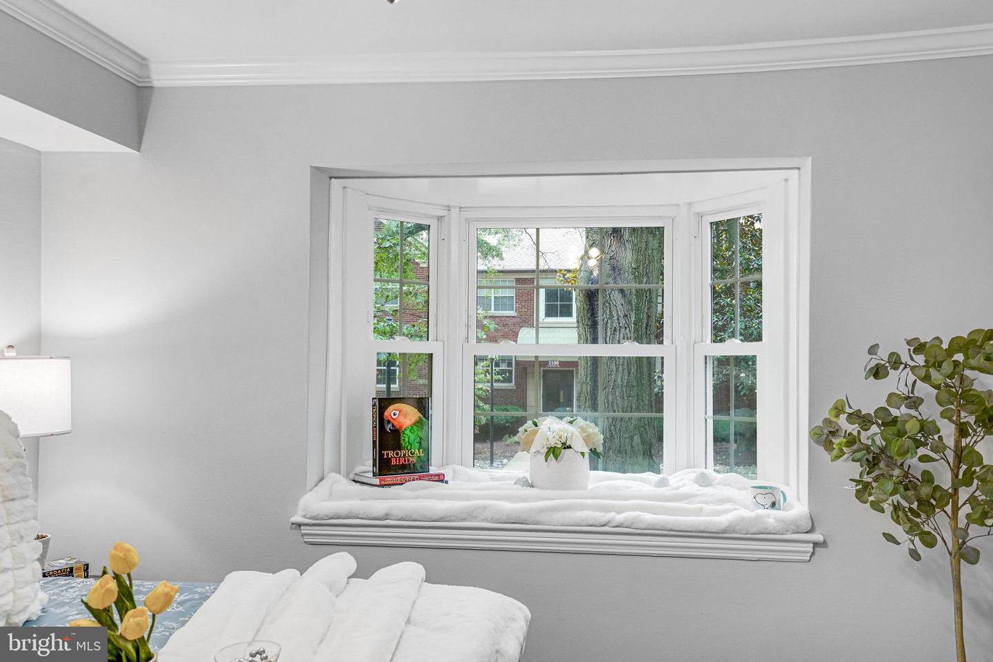 2106 N SCOTT ST #40, ARLINGTON, Virginia 22209, 1 Bedroom Bedrooms, 4 Rooms Rooms,1 BathroomBathrooms,Residential,For sale,2106 N SCOTT ST #40,VAAR2062776 MLS # VAAR2062776 2106 N SCOTT ST #40, ARLINGTON, Virginia 22209, 1 Bedroom Bedrooms, 4 Rooms Rooms,1 BathroomBathrooms,Residential,For sale,2106 N SCOTT ST #40,VAAR2062776 MLS # VAAR2062776