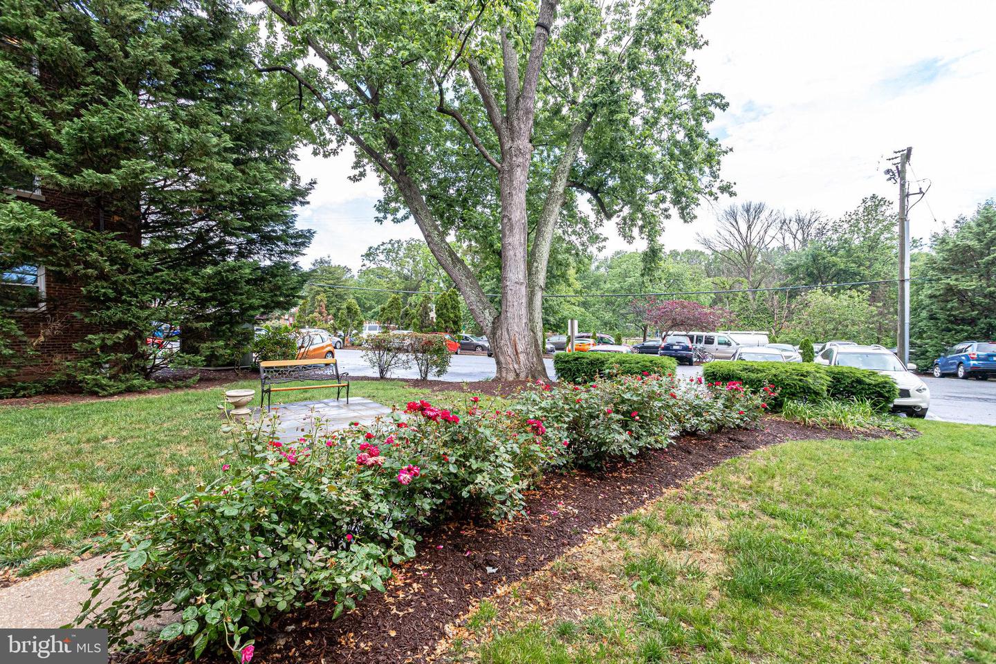 2106 N SCOTT ST #40, ARLINGTON, Virginia 22209, 1 Bedroom Bedrooms, 4 Rooms Rooms,1 BathroomBathrooms,Residential,For sale,2106 N SCOTT ST #40,VAAR2062776 MLS # VAAR2062776 2106 N SCOTT ST #40, ARLINGTON, Virginia 22209, 1 Bedroom Bedrooms, 4 Rooms Rooms,1 BathroomBathrooms,Residential,For sale,2106 N SCOTT ST #40,VAAR2062776 MLS # VAAR2062776