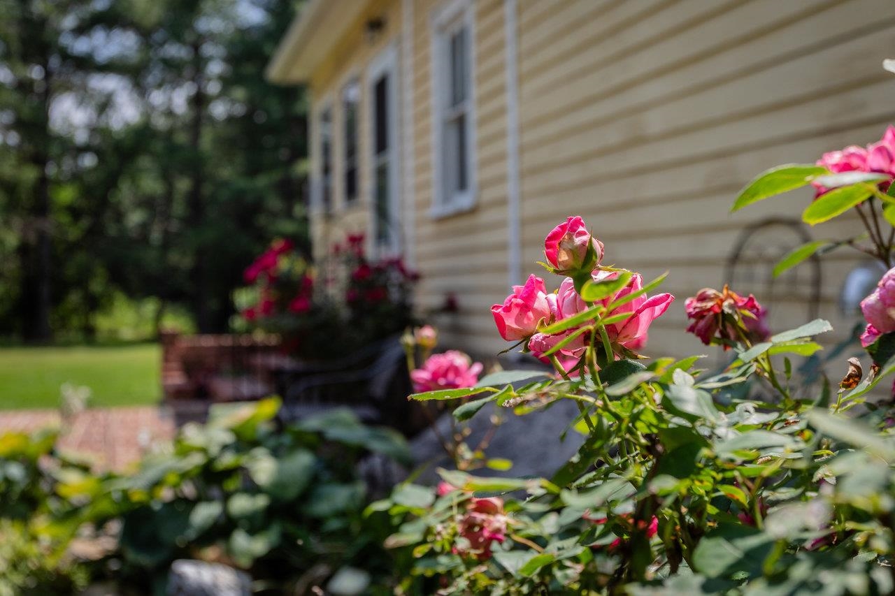 98 COTTONWOOD AVE, GROTTOES, Virginia 24441, 5 Bedrooms Bedrooms, ,1 BathroomBathrooms,Residential,98 COTTONWOOD AVE,670415 MLS # 670415 98 COTTONWOOD AVE, GROTTOES, Virginia 24441, 5 Bedrooms Bedrooms, ,1 BathroomBathrooms,Residential,98 COTTONWOOD AVE,670415 MLS # 670415