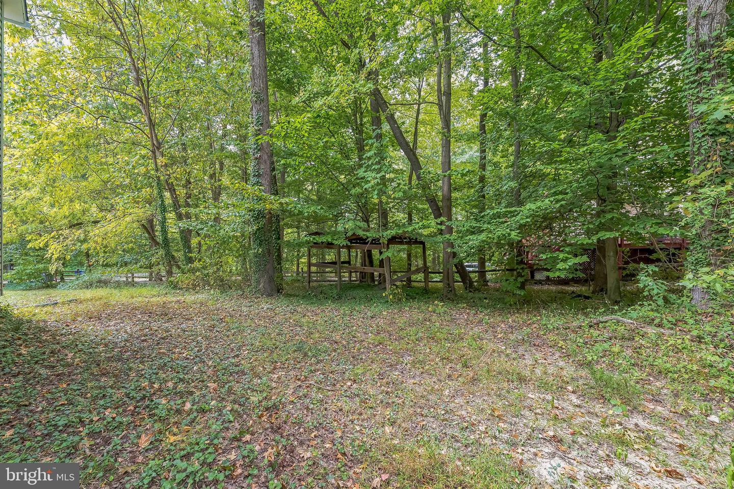 8118 STACEY RD, ALEXANDRIA, Virginia 22308, 4 Bedrooms Bedrooms, ,2 BathroomsBathrooms,Residential,For sale,8118 STACEY RD,VAFX2266004 MLS # VAFX2266004