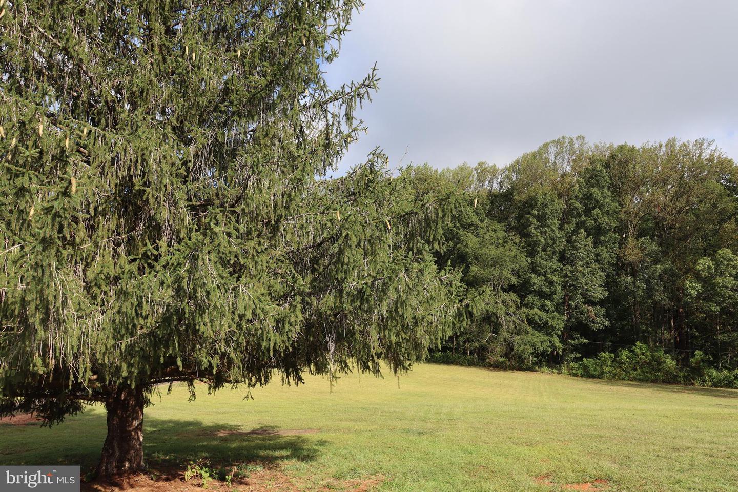 5621 OLD AUBURN RD, WARRENTON, Virginia 20187, 4 Bedrooms Bedrooms, ,2 BathroomsBathrooms,Residential,For sale,5621 OLD AUBURN RD,VAFQ2018316 MLS # VAFQ2018316 5621 OLD AUBURN RD, WARRENTON, Virginia 20187, 4 Bedrooms Bedrooms, ,2 BathroomsBathrooms,Residential,For sale,5621 OLD AUBURN RD,VAFQ2018316 MLS # VAFQ2018316