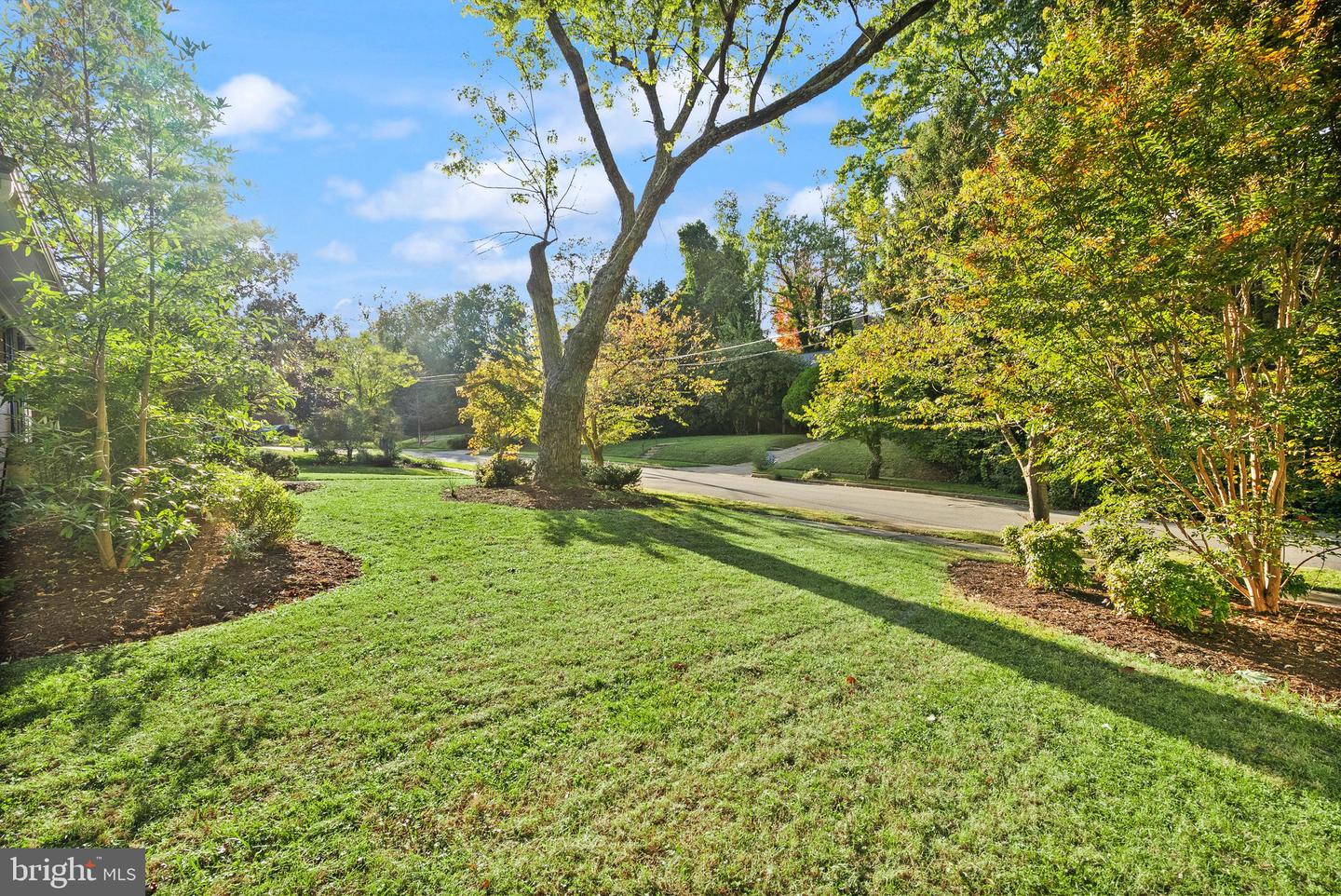 1045 RYNEX DR, ALEXANDRIA, Virginia 22312, 3 Bedrooms Bedrooms, 10 Rooms Rooms,2 BathroomsBathrooms,Residential,For sale,1045 RYNEX DR,VAAX2050682 MLS # VAAX2050682 1045 RYNEX DR, ALEXANDRIA, Virginia 22312, 3 Bedrooms Bedrooms, 10 Rooms Rooms,2 BathroomsBathrooms,Residential,For sale,1045 RYNEX DR,VAAX2050682 MLS # VAAX2050682