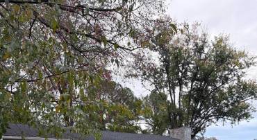 18051 LITTLE OAK DR, CULPEPER, Virginia 22701, 3 Bedrooms Bedrooms, ,3 BathroomsBathrooms,Residential,For sale,18051 LITTLE OAK DR,VACU2011782 MLS # VACU2011782
