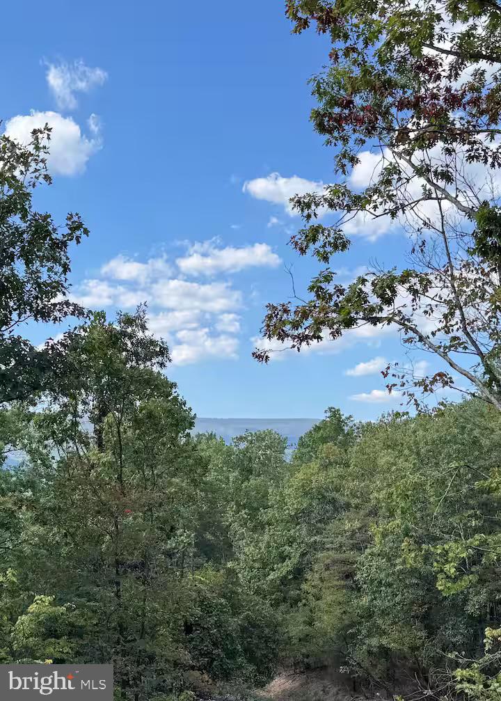 5448 CROOKED RUN RD, MOUNT JACKSON, Virginia 22842, 4 Bedrooms Bedrooms, ,3 BathroomsBathrooms,Residential,For sale,5448 CROOKED RUN RD,VASH2012756 MLS # VASH2012756 5448 CROOKED RUN RD, MOUNT JACKSON, Virginia 22842, 4 Bedrooms Bedrooms, ,3 BathroomsBathrooms,Residential,For sale,5448 CROOKED RUN RD,VASH2012756 MLS # VASH2012756