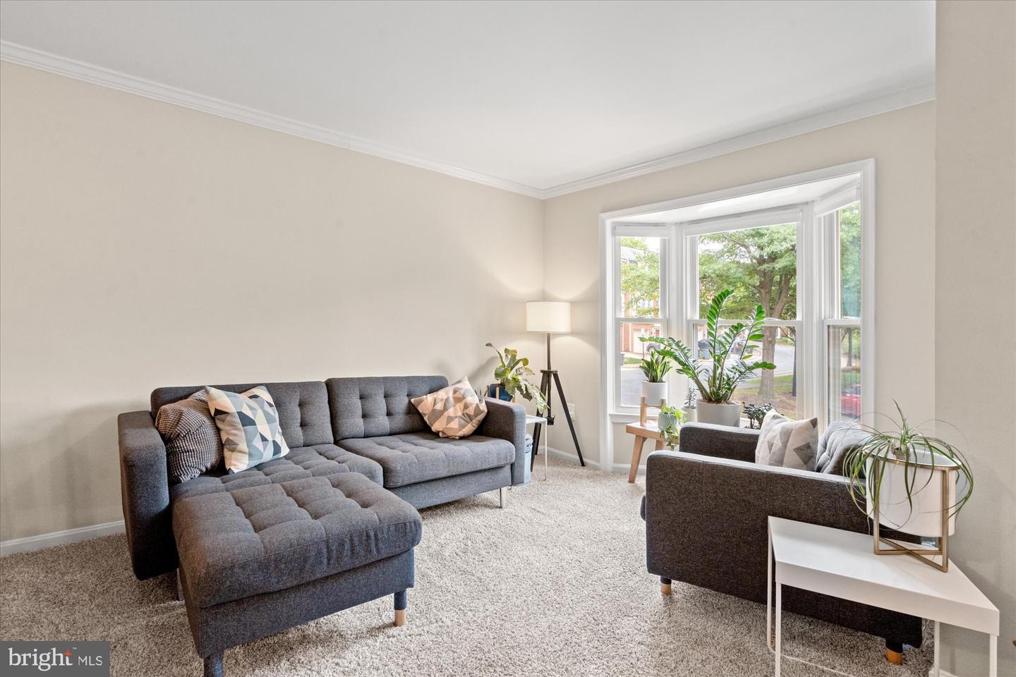 32 CARRIAGE HOUSE CIR, ALEXANDRIA, Virginia 22304, 2 Bedrooms Bedrooms, ,2 BathroomsBathrooms,Residential,For sale,32 CARRIAGE HOUSE CIR,VAAX2050764 MLS # VAAX2050764 32 CARRIAGE HOUSE CIR, ALEXANDRIA, Virginia 22304, 2 Bedrooms Bedrooms, ,2 BathroomsBathrooms,Residential,For sale,32 CARRIAGE HOUSE CIR,VAAX2050764 MLS # VAAX2050764