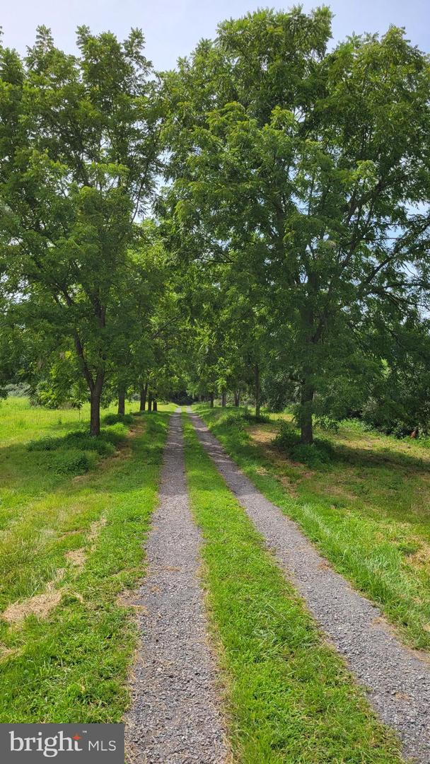 15371 SHEADS MOUNTAIN ROAD, RIXEYVILLE, Virginia 22737, 3 Bedrooms Bedrooms, ,3 BathroomsBathrooms,Residential,For sale,15371 SHEADS MOUNTAIN ROAD,VACU2011816 MLS # VACU2011816 15371 SHEADS MOUNTAIN ROAD, RIXEYVILLE, Virginia 22737, 3 Bedrooms Bedrooms, ,3 BathroomsBathrooms,Residential,For sale,15371 SHEADS MOUNTAIN ROAD,VACU2011816 MLS # VACU2011816