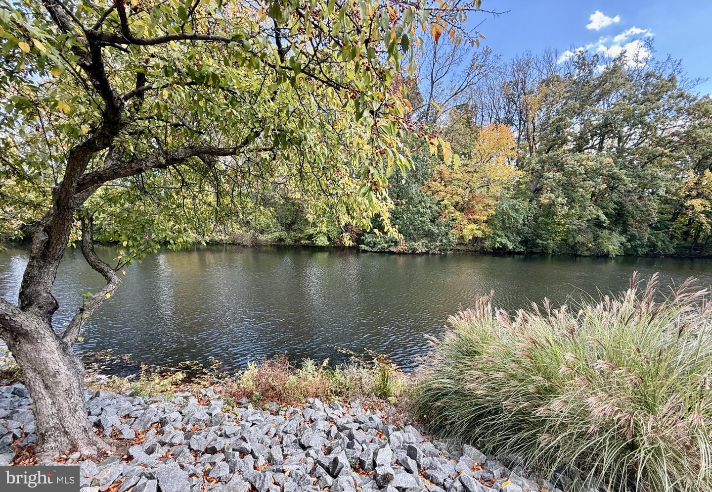 7252 EVANS MILL RD, MCLEAN, Virginia 22101, 4 Bedrooms Bedrooms, ,3 BathroomsBathrooms,Residential,For sale,7252 EVANS MILL RD,VAFX2274988 MLS # VAFX2274988 7252 EVANS MILL RD, MCLEAN, Virginia 22101, 4 Bedrooms Bedrooms, ,3 BathroomsBathrooms,Residential,For sale,7252 EVANS MILL RD,VAFX2274988 MLS # VAFX2274988
