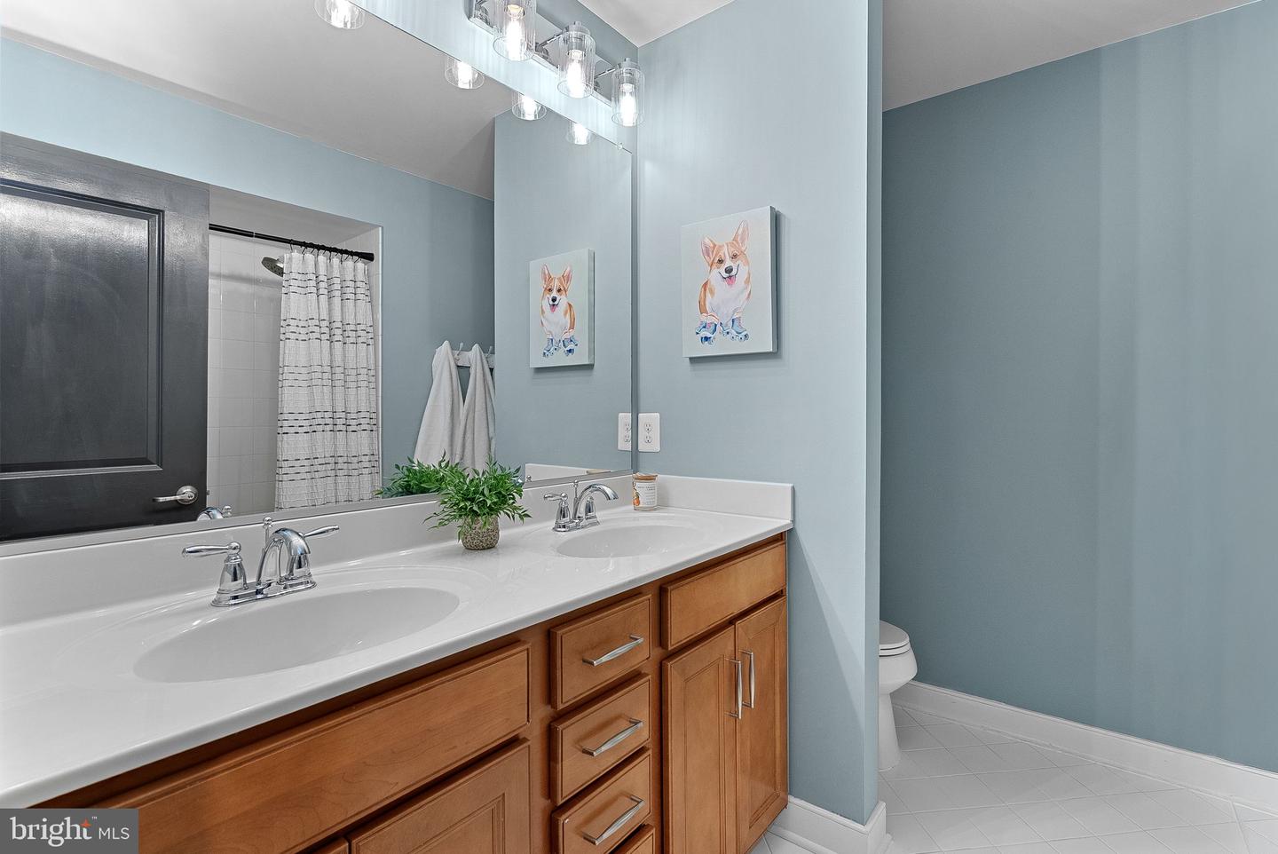 46685 JOUBERT TER, STERLING, Virginia 20165, 3 Bedrooms Bedrooms, ,2 BathroomsBathrooms,Residential,For sale,46685 JOUBERT TER,VALO2109062 MLS # VALO2109062 46685 JOUBERT TER, STERLING, Virginia 20165, 3 Bedrooms Bedrooms, ,2 BathroomsBathrooms,Residential,For sale,46685 JOUBERT TER,VALO2109062 MLS # VALO2109062