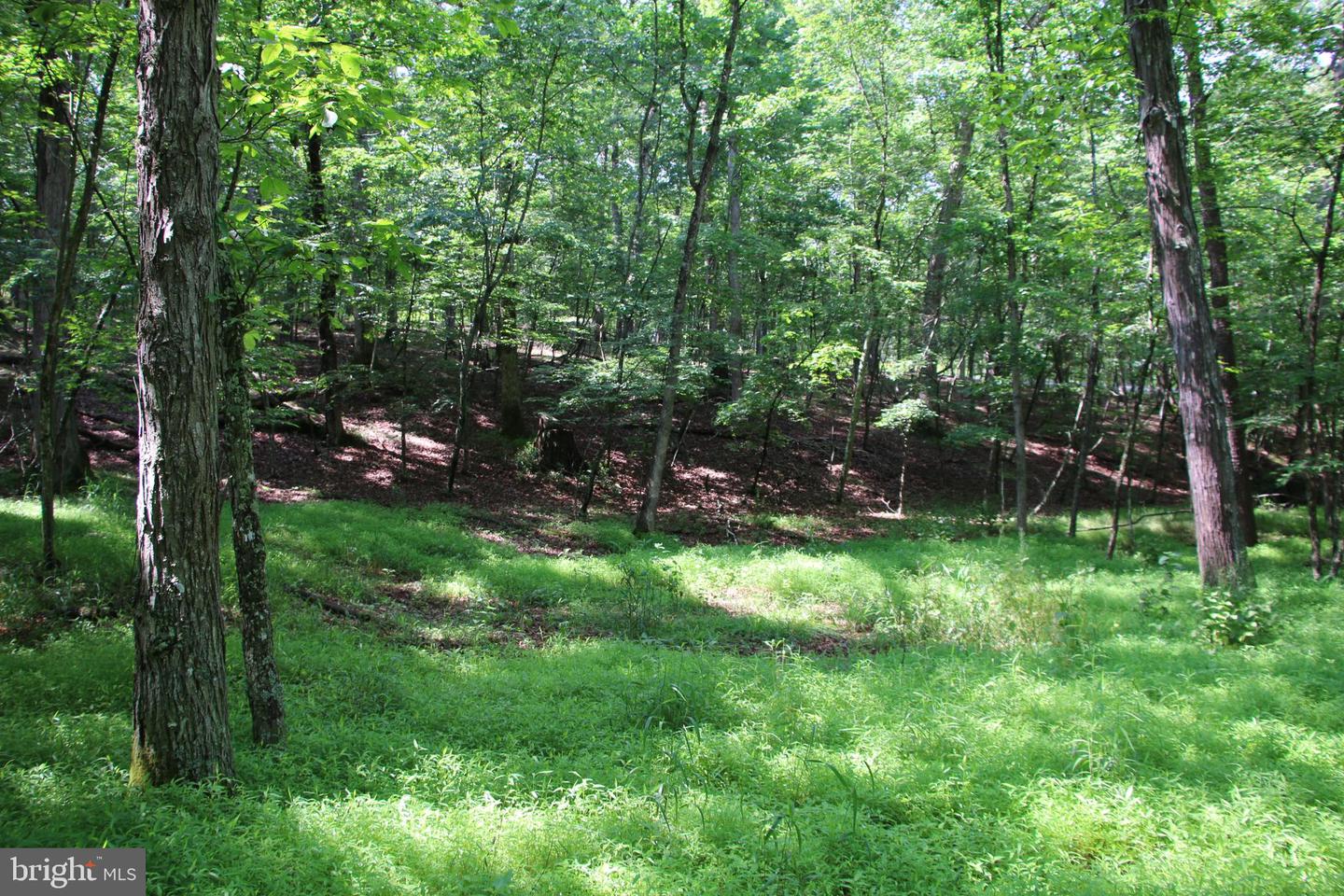 859 BRUSH CREEK, WINCHESTER, Virginia 22603, 3 Bedrooms Bedrooms, ,1 BathroomBathrooms,Residential,For sale,859 BRUSH CREEK,VAFV2037510 MLS # VAFV2037510 859 BRUSH CREEK, WINCHESTER, Virginia 22603, 3 Bedrooms Bedrooms, ,1 BathroomBathrooms,Residential,For sale,859 BRUSH CREEK,VAFV2037510 MLS # VAFV2037510
