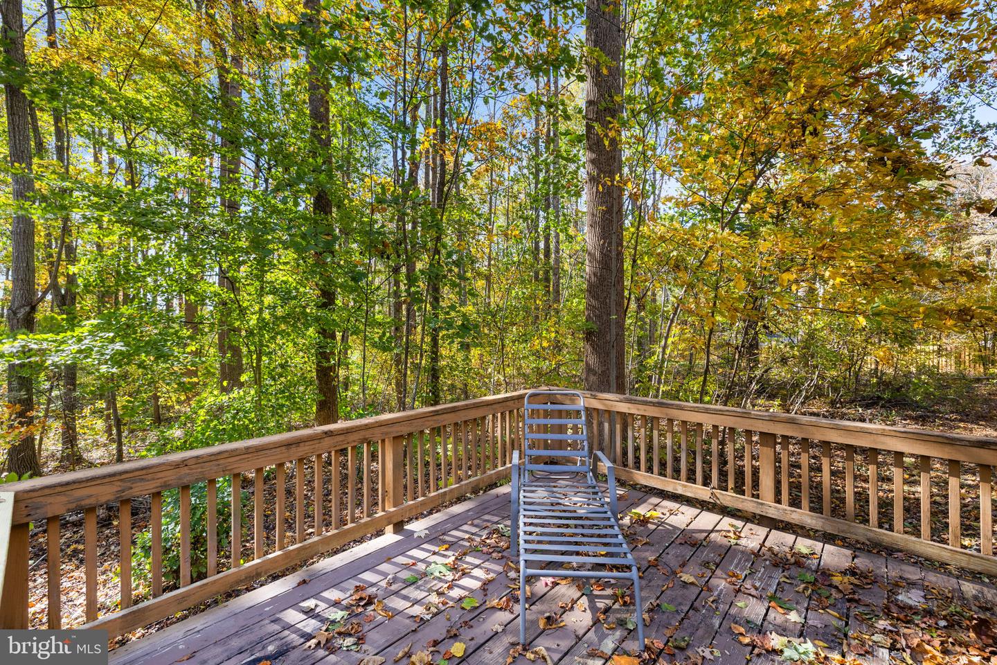 15404 DRUMMERS LN, ORANGE, Virginia 22960, 2 Bedrooms Bedrooms, ,1 BathroomBathrooms,Residential,For sale,15404 DRUMMERS LN,VASP2037090 MLS # VASP2037090 15404 DRUMMERS LN, ORANGE, Virginia 22960, 2 Bedrooms Bedrooms, ,1 BathroomBathrooms,Residential,For sale,15404 DRUMMERS LN,VASP2037090 MLS # VASP2037090