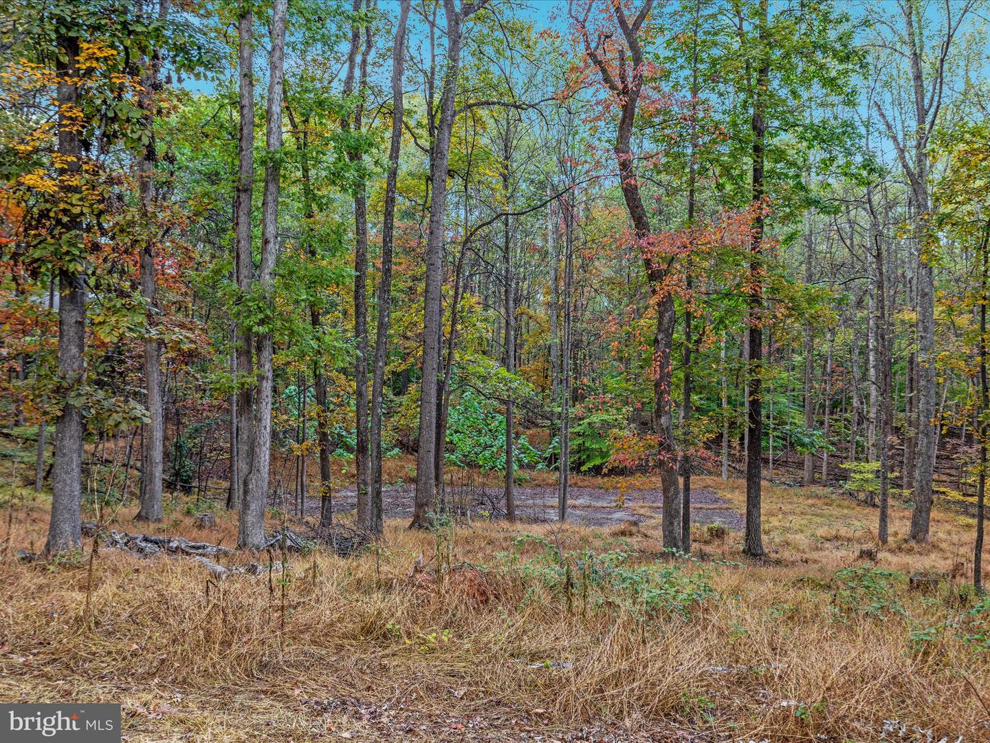 7261 BALDWIN RIDGE RD, WARRENTON, Virginia 20187, 5 Bedrooms Bedrooms, 14 Rooms Rooms,3 BathroomsBathrooms,Residential,For sale,7261 BALDWIN RIDGE RD,VAFQ2019450 MLS # VAFQ2019450