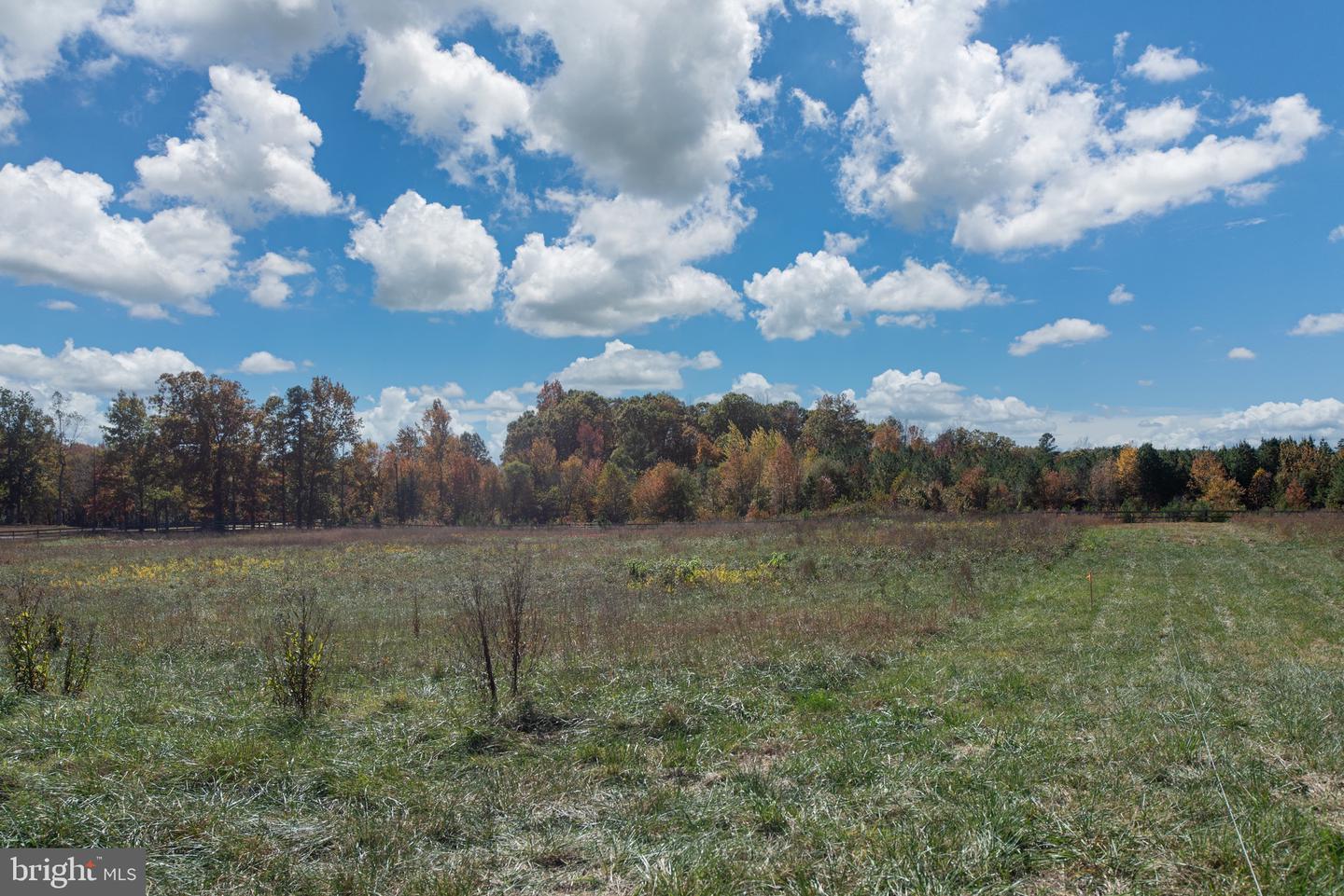 15390 UNION CHURCH RD, BEAVERDAM, Virginia 23015, 5 Bedrooms Bedrooms, ,2 BathroomsBathrooms,Residential,For sale,15390 UNION CHURCH RD,VAHA2001086 MLS # VAHA2001086 15390 UNION CHURCH RD, BEAVERDAM, Virginia 23015, 5 Bedrooms Bedrooms, ,2 BathroomsBathrooms,Residential,For sale,15390 UNION CHURCH RD,VAHA2001086 MLS # VAHA2001086