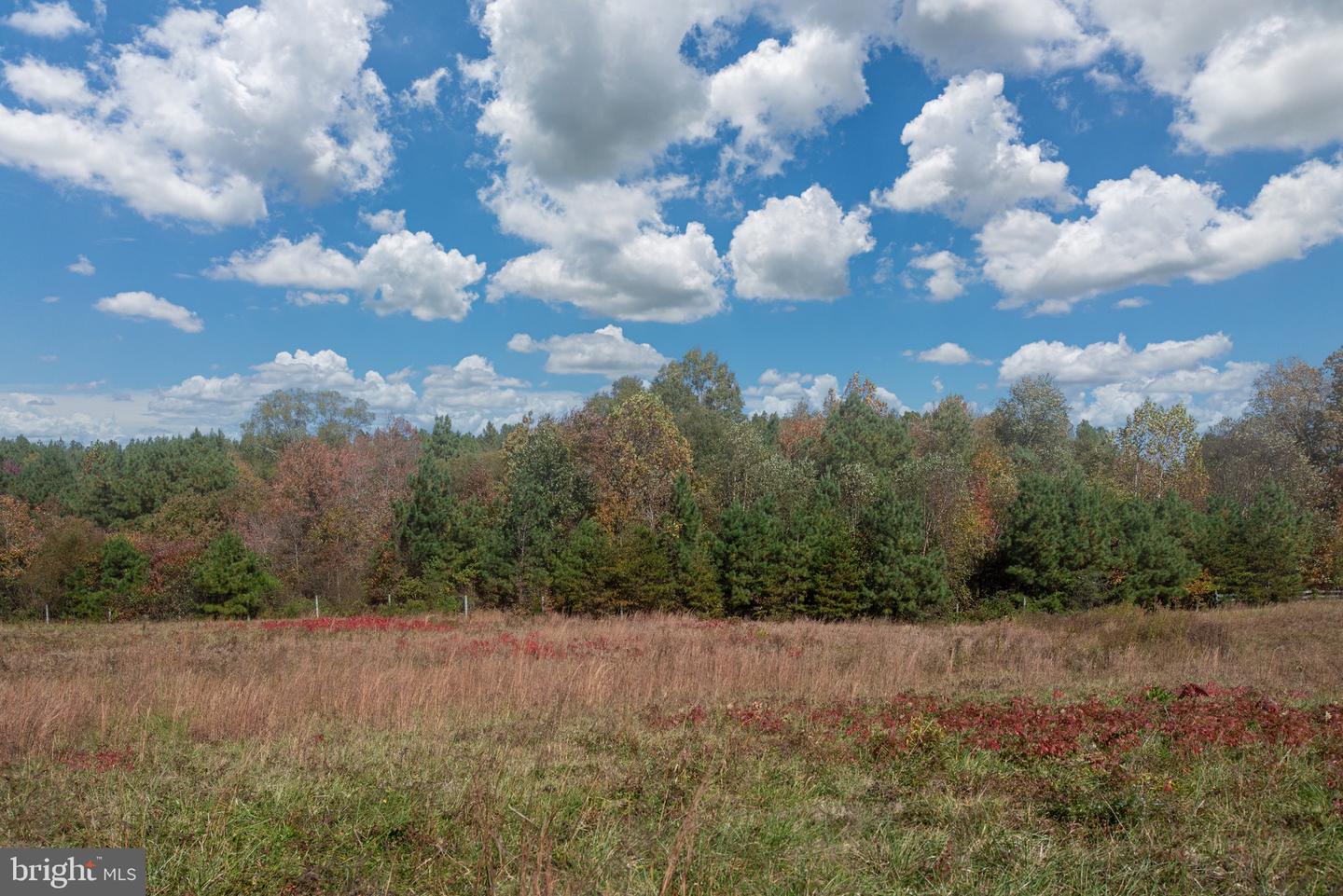 15390 UNION CHURCH RD, BEAVERDAM, Virginia 23015, 5 Bedrooms Bedrooms, ,2 BathroomsBathrooms,Residential,For sale,15390 UNION CHURCH RD,VAHA2001086 MLS # VAHA2001086 15390 UNION CHURCH RD, BEAVERDAM, Virginia 23015, 5 Bedrooms Bedrooms, ,2 BathroomsBathrooms,Residential,For sale,15390 UNION CHURCH RD,VAHA2001086 MLS # VAHA2001086