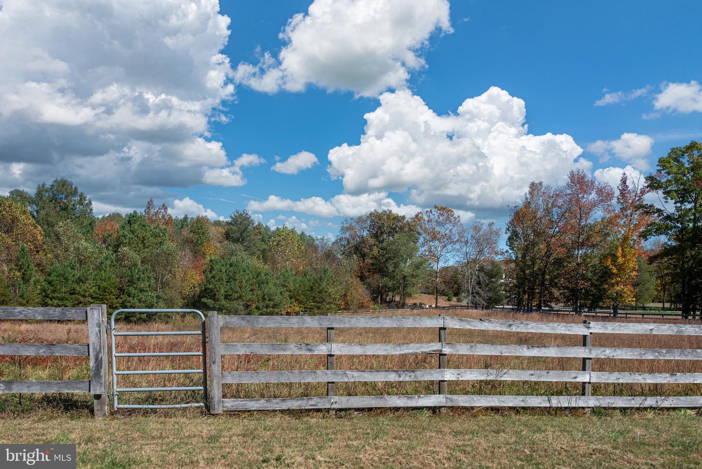 15390 UNION CHURCH RD, BEAVERDAM, Virginia 23015, 5 Bedrooms Bedrooms, ,2 BathroomsBathrooms,Residential,For sale,15390 UNION CHURCH RD,VAHA2001086 MLS # VAHA2001086 15390 UNION CHURCH RD, BEAVERDAM, Virginia 23015, 5 Bedrooms Bedrooms, ,2 BathroomsBathrooms,Residential,For sale,15390 UNION CHURCH RD,VAHA2001086 MLS # VAHA2001086