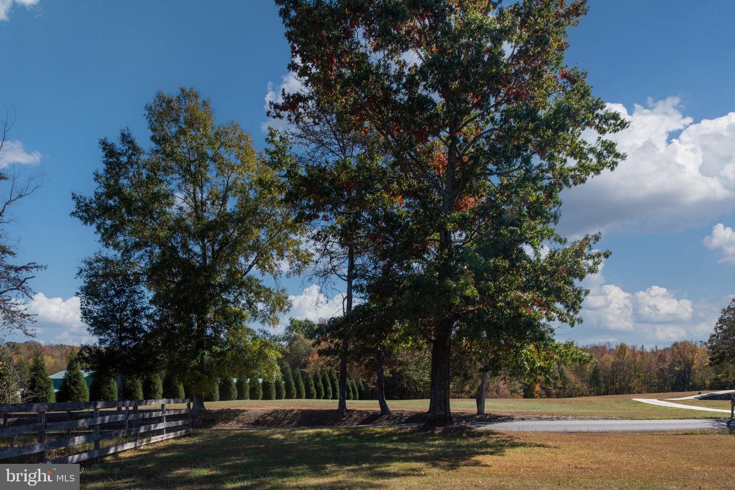 15390 UNION CHURCH RD, BEAVERDAM, Virginia 23015, 5 Bedrooms Bedrooms, ,2 BathroomsBathrooms,Residential,For sale,15390 UNION CHURCH RD,VAHA2001086 MLS # VAHA2001086 15390 UNION CHURCH RD, BEAVERDAM, Virginia 23015, 5 Bedrooms Bedrooms, ,2 BathroomsBathrooms,Residential,For sale,15390 UNION CHURCH RD,VAHA2001086 MLS # VAHA2001086
