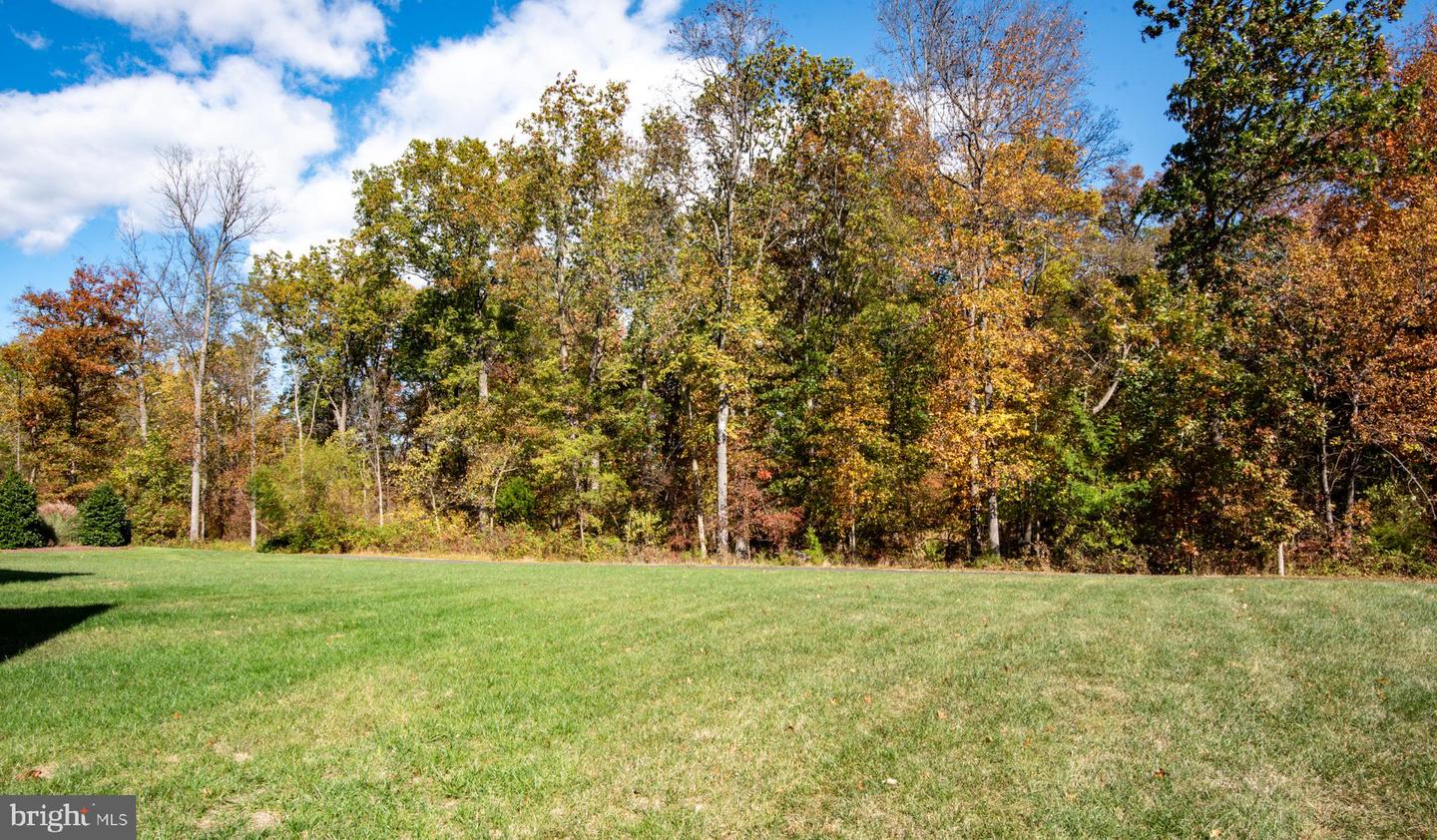 4355 GRAVELY MEADOW CT, HAYMARKET, Virginia 20169, 4 Bedrooms Bedrooms, ,4 BathroomsBathrooms,Residential,For sale,4355 GRAVELY MEADOW CT,VAPW2106480 MLS # VAPW2106480 4355 GRAVELY MEADOW CT, HAYMARKET, Virginia 20169, 4 Bedrooms Bedrooms, ,4 BathroomsBathrooms,Residential,For sale,4355 GRAVELY MEADOW CT,VAPW2106480 MLS # VAPW2106480
