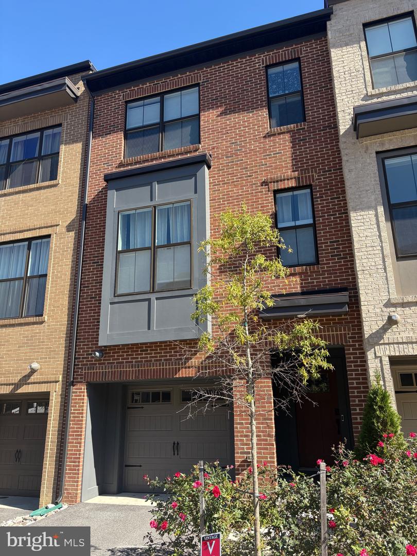 5509 VALMARANA WAY, ALEXANDRIA, Virginia 22312, 2 Bedrooms Bedrooms, ,3 BathroomsBathrooms,Residential,For sale,5509 VALMARANA WAY,VAFX2275648 MLS # VAFX2275648 5509 VALMARANA WAY, ALEXANDRIA, Virginia 22312, 2 Bedrooms Bedrooms, ,3 BathroomsBathrooms,Residential,For sale,5509 VALMARANA WAY,VAFX2275648 MLS # VAFX2275648