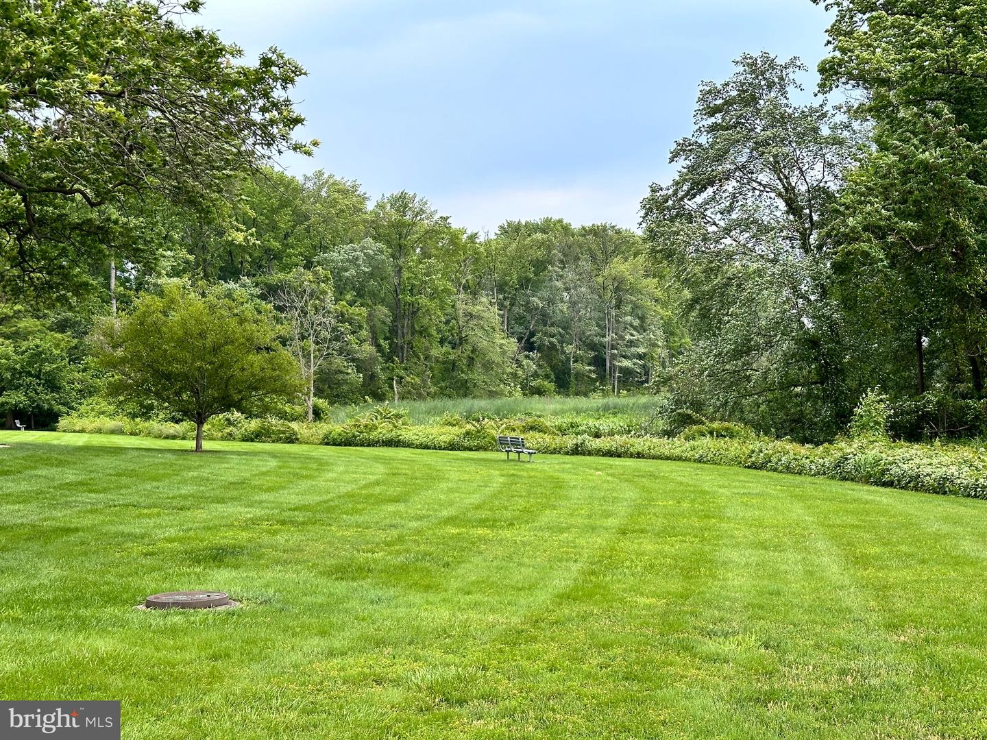 6641 WAKEFIELD DR #616, ALEXANDRIA, Virginia 22307, 2 Bedrooms Bedrooms, ,1 BathroomBathrooms,Residential,For sale,6641 WAKEFIELD DR #616,VAFX2275936 MLS # VAFX2275936 6641 WAKEFIELD DR #616, ALEXANDRIA, Virginia 22307, 2 Bedrooms Bedrooms, ,1 BathroomBathrooms,Residential,For sale,6641 WAKEFIELD DR #616,VAFX2275936 MLS # VAFX2275936