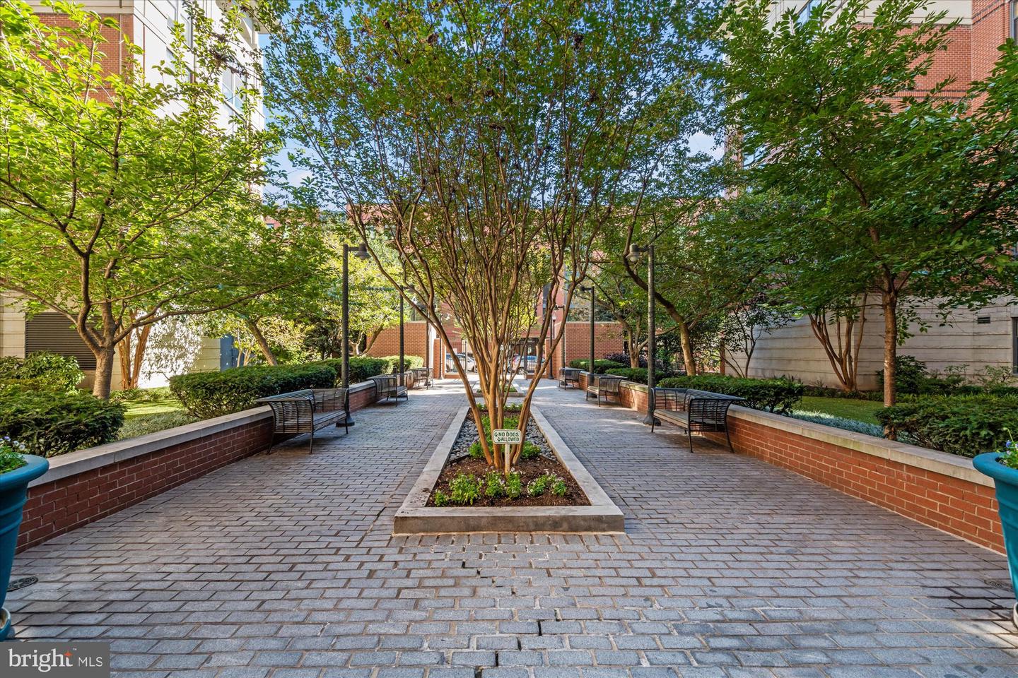 1021 N GARFIELD ST #409, ARLINGTON, Virginia 22201, 3 Bedrooms Bedrooms, ,2 BathroomsBathrooms,Residential,For sale,1021 N GARFIELD ST #409,VAAR2065284 MLS # VAAR2065284 1021 N GARFIELD ST #409, ARLINGTON, Virginia 22201, 3 Bedrooms Bedrooms, ,2 BathroomsBathrooms,Residential,For sale,1021 N GARFIELD ST #409,VAAR2065284 MLS # VAAR2065284