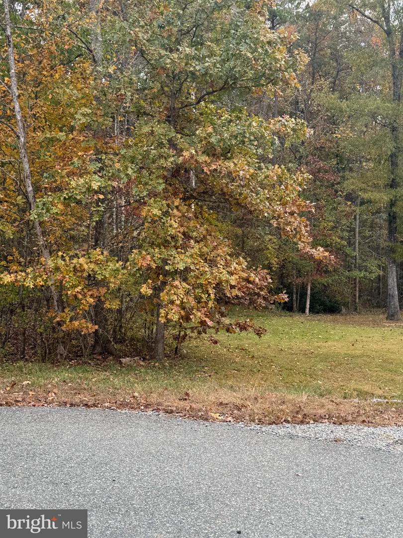 10150 RAINBOW LN, SPOTSYLVANIA, Virginia 22551, ,Land,For sale,10150 RAINBOW LN,VASP2037242 MLS # VASP2037242 10150 RAINBOW LN, SPOTSYLVANIA, Virginia 22551, ,Land,For sale,10150 RAINBOW LN,VASP2037242 MLS # VASP2037242