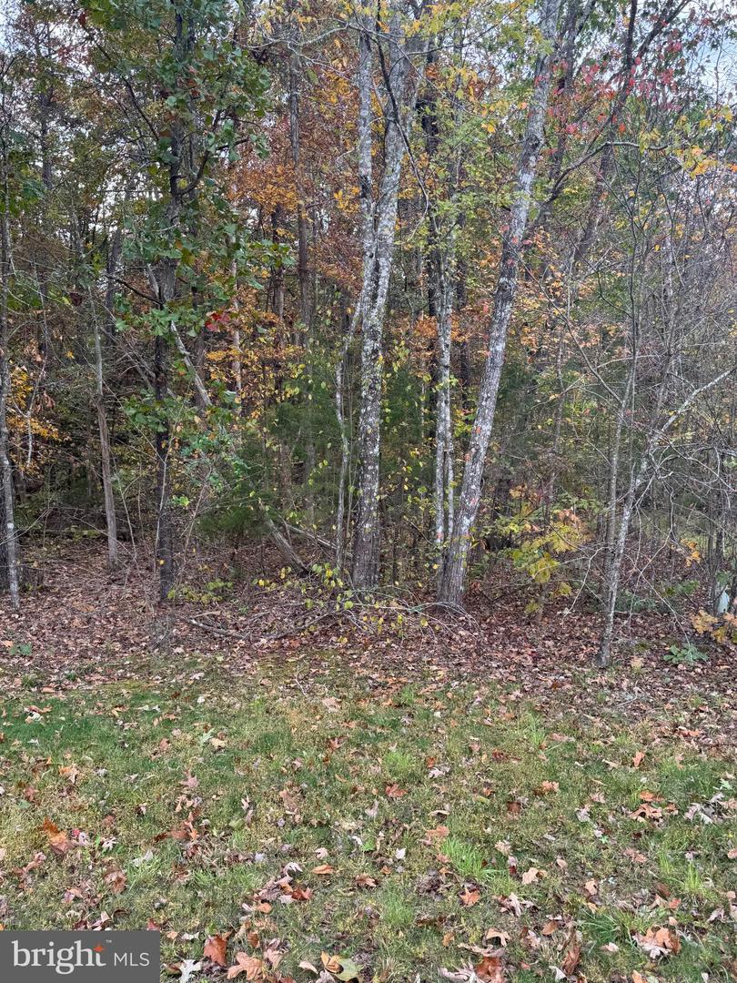 10150 RAINBOW LN, SPOTSYLVANIA, Virginia 22551, ,Land,For sale,10150 RAINBOW LN,VASP2037242 MLS # VASP2037242 10150 RAINBOW LN, SPOTSYLVANIA, Virginia 22551, ,Land,For sale,10150 RAINBOW LN,VASP2037242 MLS # VASP2037242