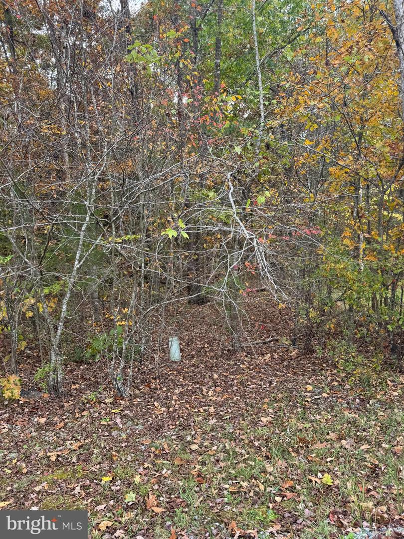 10150 RAINBOW LN, SPOTSYLVANIA, Virginia 22551, ,Land,For sale,10150 RAINBOW LN,VASP2037242 MLS # VASP2037242 10150 RAINBOW LN, SPOTSYLVANIA, Virginia 22551, ,Land,For sale,10150 RAINBOW LN,VASP2037242 MLS # VASP2037242