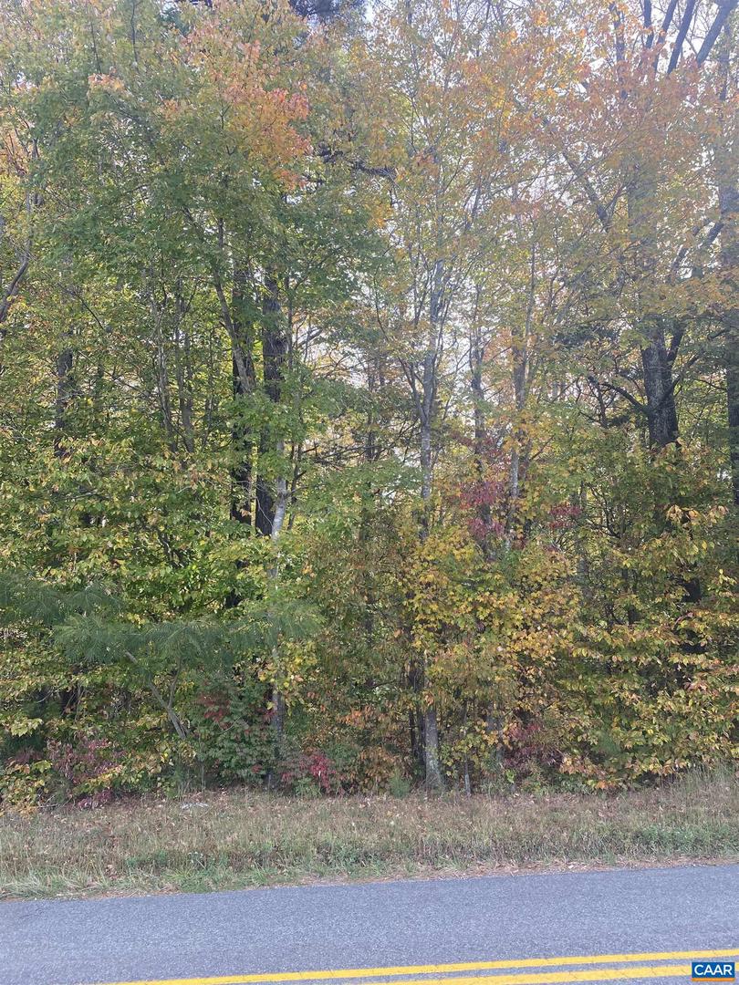 0 W CHAPEL DR, BUMPASS, Virginia 23024, ,Land,For sale,0 W CHAPEL DR,670462 MLS # 670462 0 W CHAPEL DR, BUMPASS, Virginia 23024, ,Land,For sale,0 W CHAPEL DR,670462 MLS # 670462