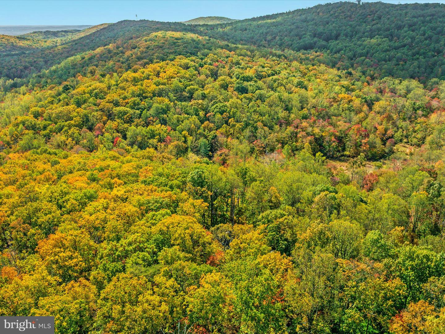 3497 BULL RUN MOUNTAIN RD, THE PLAINS, Virginia 20198, 6 Bedrooms Bedrooms, 22 Rooms Rooms,4 BathroomsBathrooms,Residential,For sale,3497 BULL RUN MOUNTAIN RD,VAFQ2019482 MLS # VAFQ2019482 3497 BULL RUN MOUNTAIN RD, THE PLAINS, Virginia 20198, 6 Bedrooms Bedrooms, 22 Rooms Rooms,4 BathroomsBathrooms,Residential,For sale,3497 BULL RUN MOUNTAIN RD,VAFQ2019482 MLS # VAFQ2019482