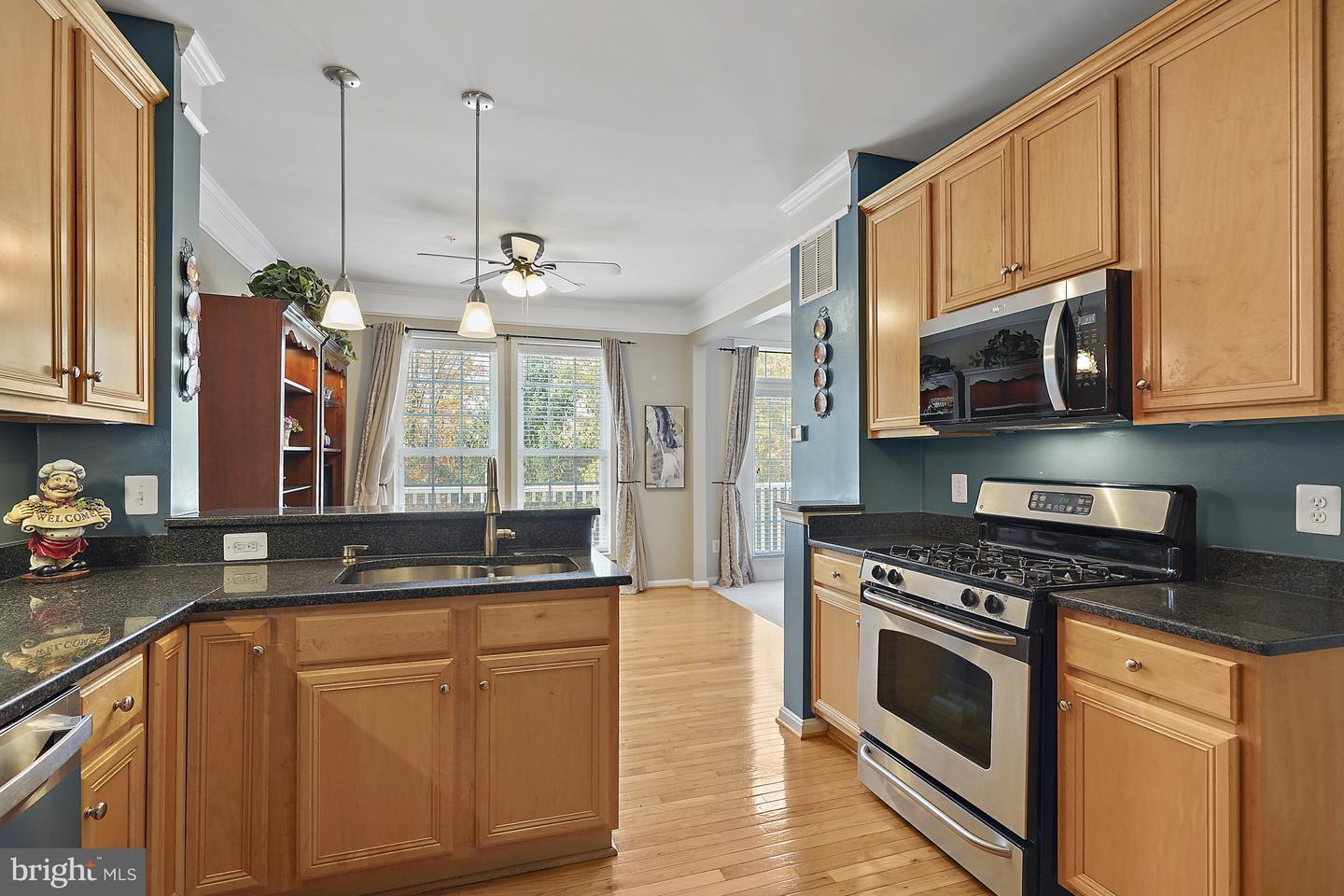 41973 BLUE FLAG TER, ALDIE, Virginia 20105, 3 Bedrooms Bedrooms, ,3 BathroomsBathrooms,Residential,For sale,41973 BLUE FLAG TER,VALO2109572 MLS # VALO2109572