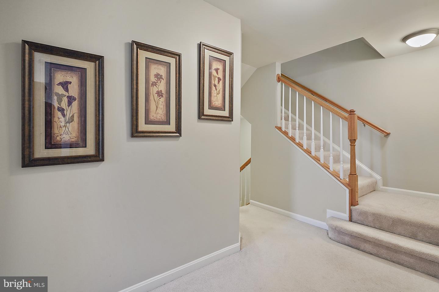 41973 BLUE FLAG TER, ALDIE, Virginia 20105, 3 Bedrooms Bedrooms, ,3 BathroomsBathrooms,Residential,For sale,41973 BLUE FLAG TER,VALO2109572 MLS # VALO2109572