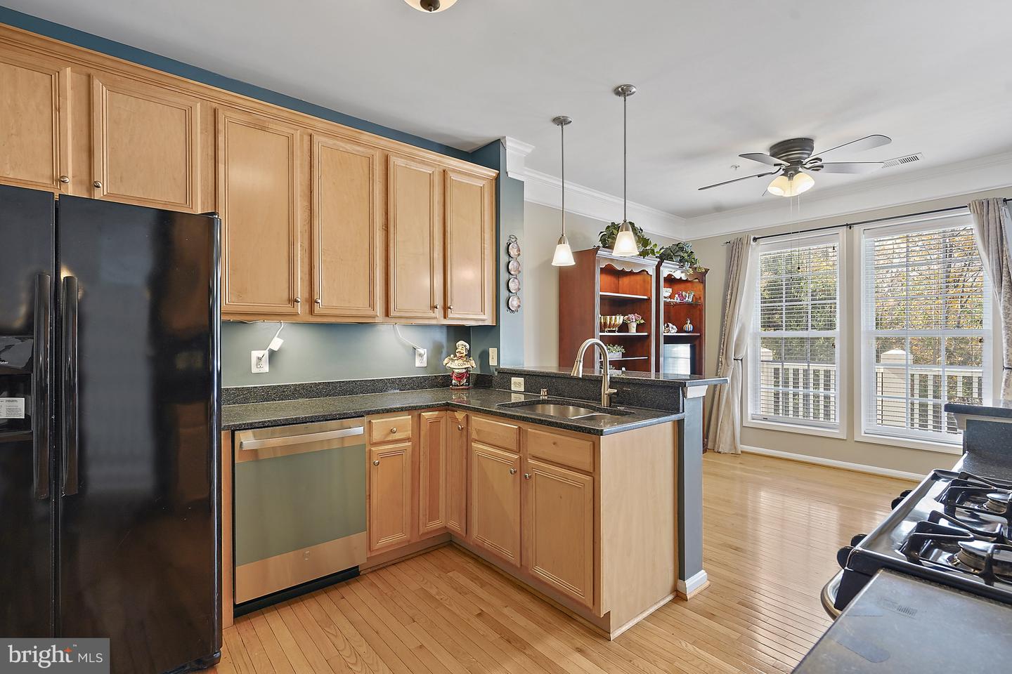 41973 BLUE FLAG TER, ALDIE, Virginia 20105, 3 Bedrooms Bedrooms, ,3 BathroomsBathrooms,Residential,For sale,41973 BLUE FLAG TER,VALO2109572 MLS # VALO2109572